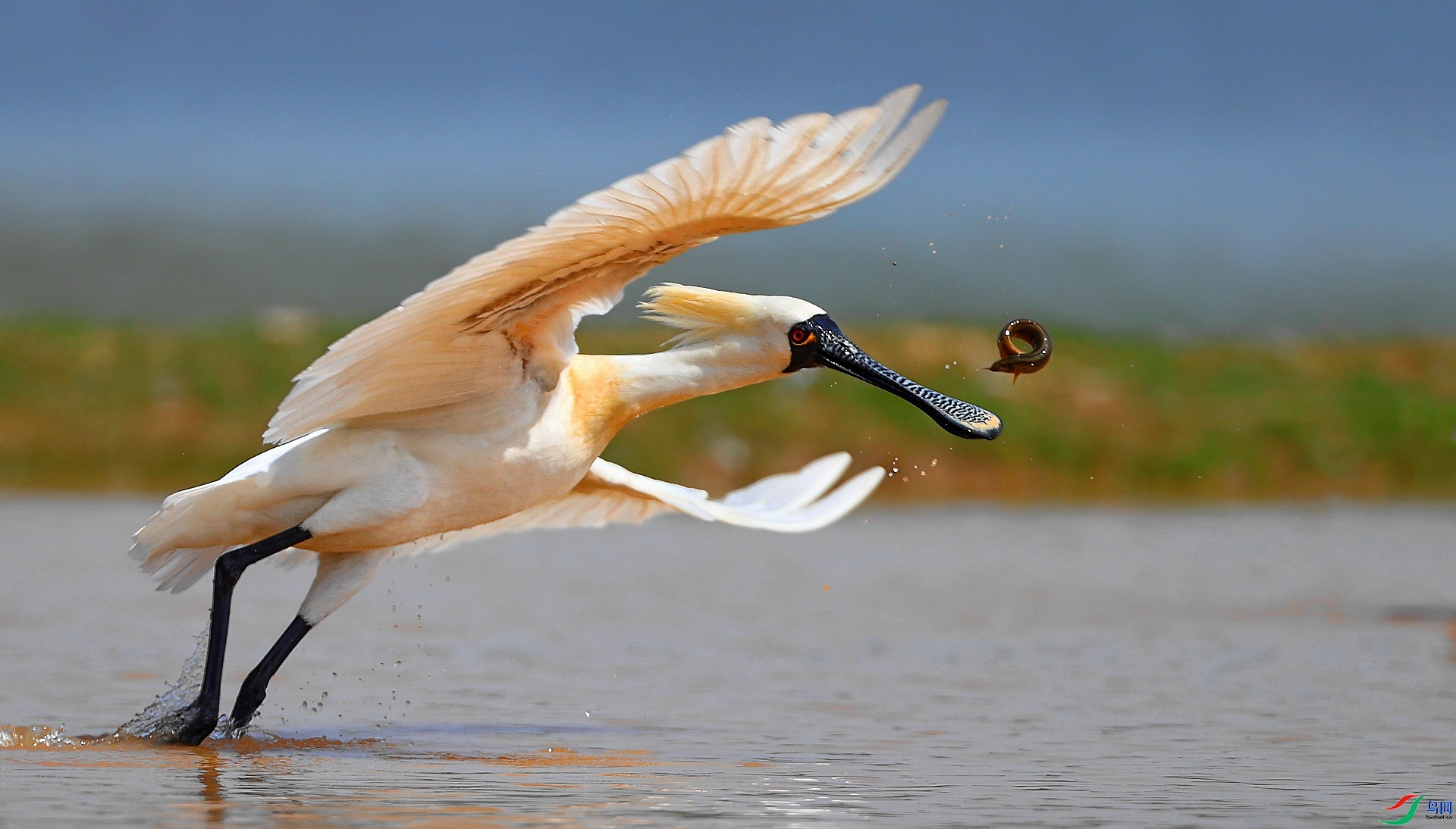 �������� ���� ���� ����.jpg