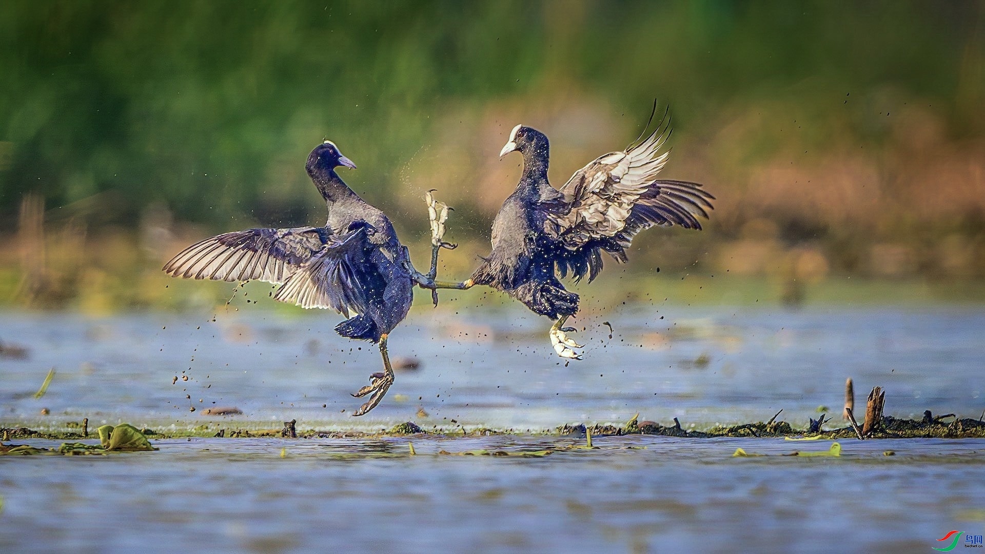 ���Ѿ������� ʤ�����ϡ�����˳����Ȼ.jpeg