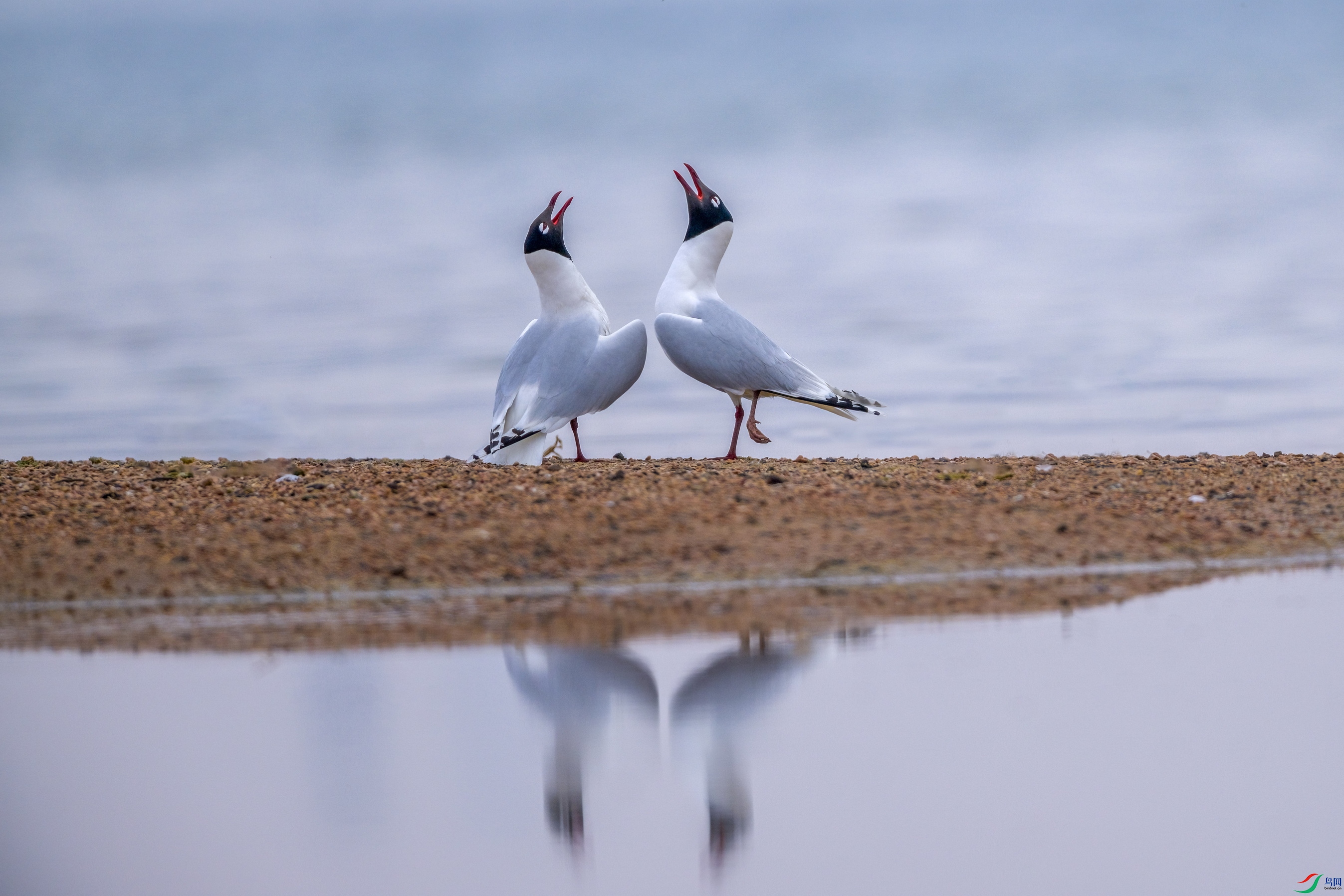 _DSC2249 ����F01.jpg