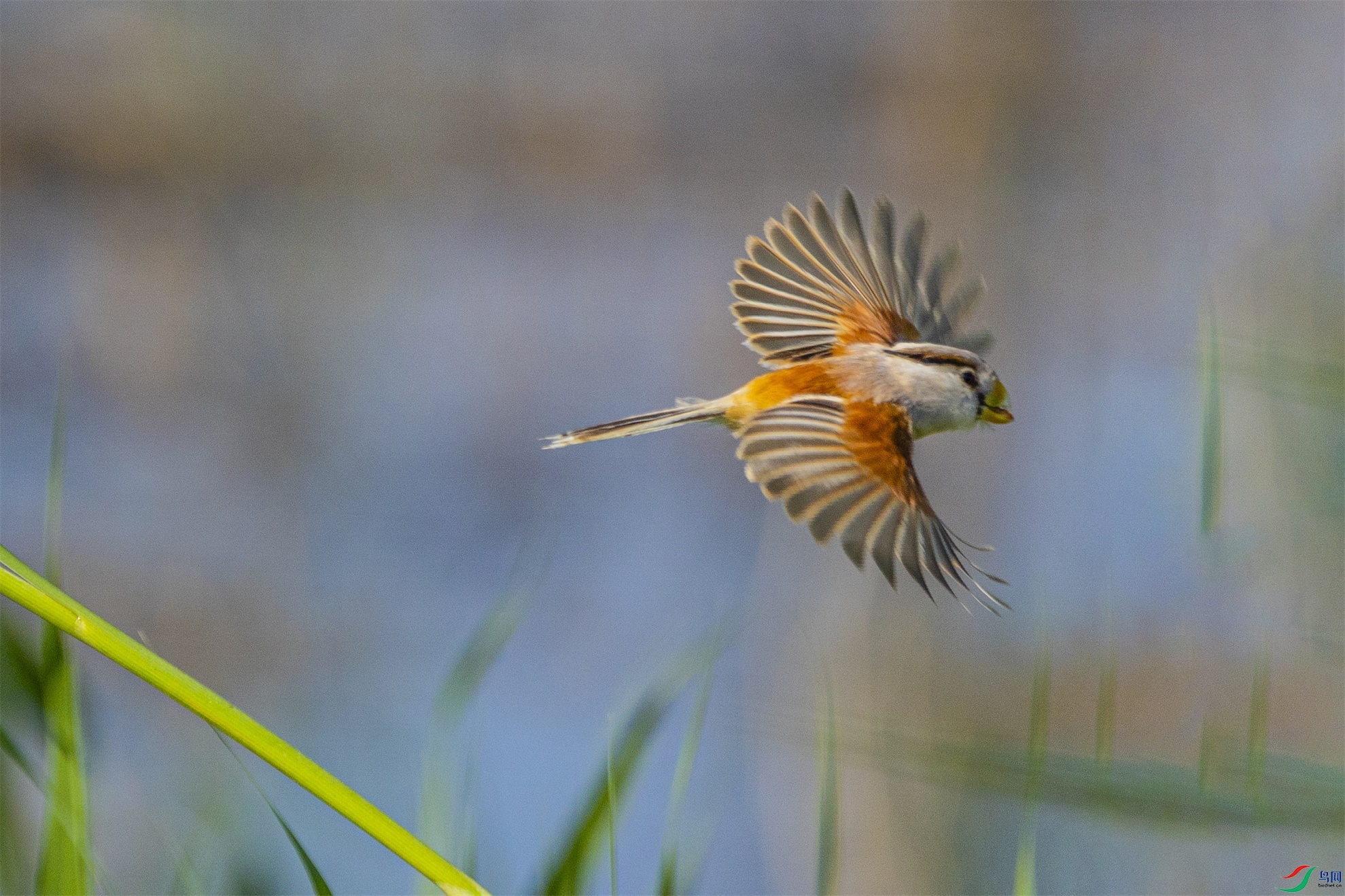 1K3A2967 ����1.jpg