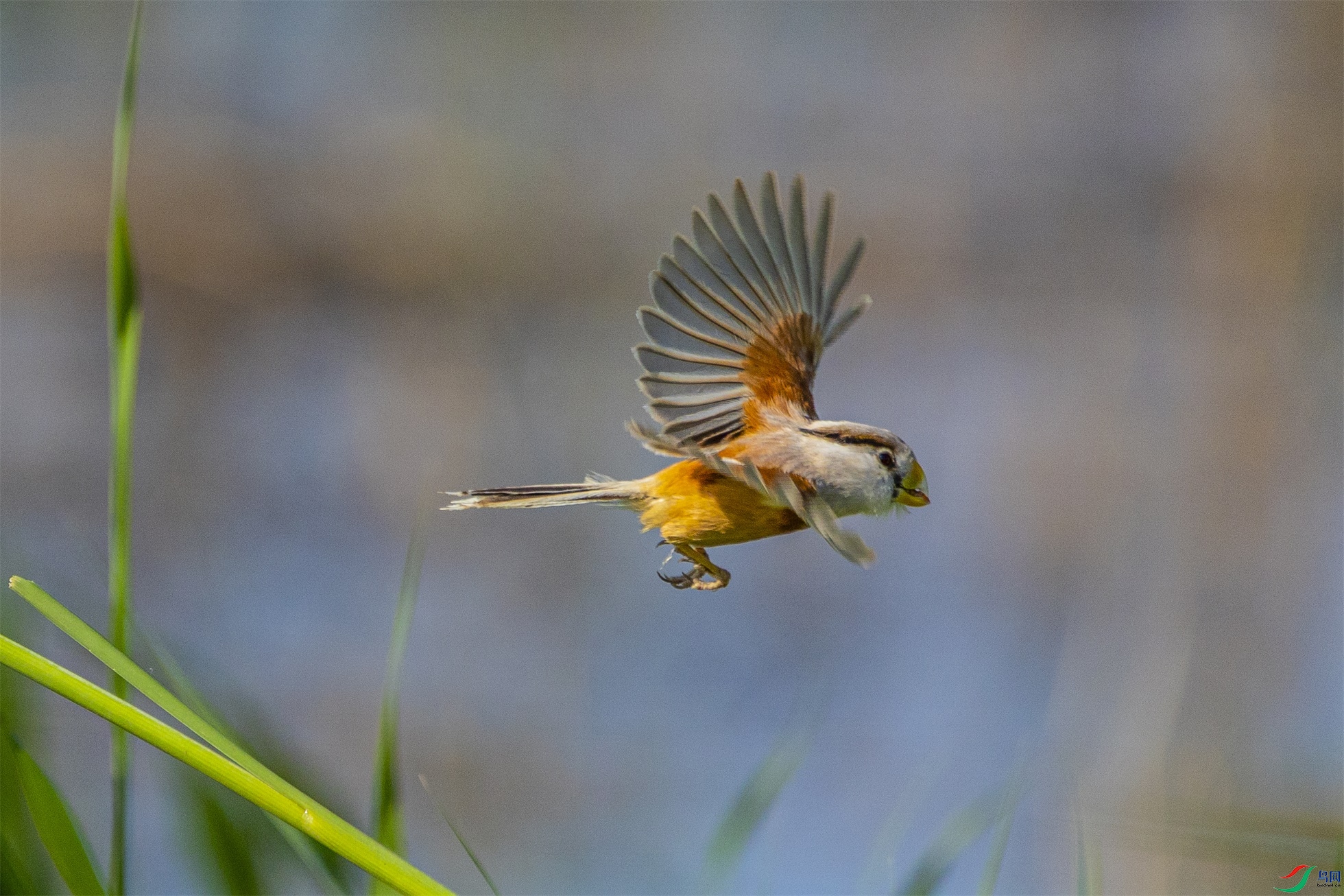 1K3A2966 ����1.jpg