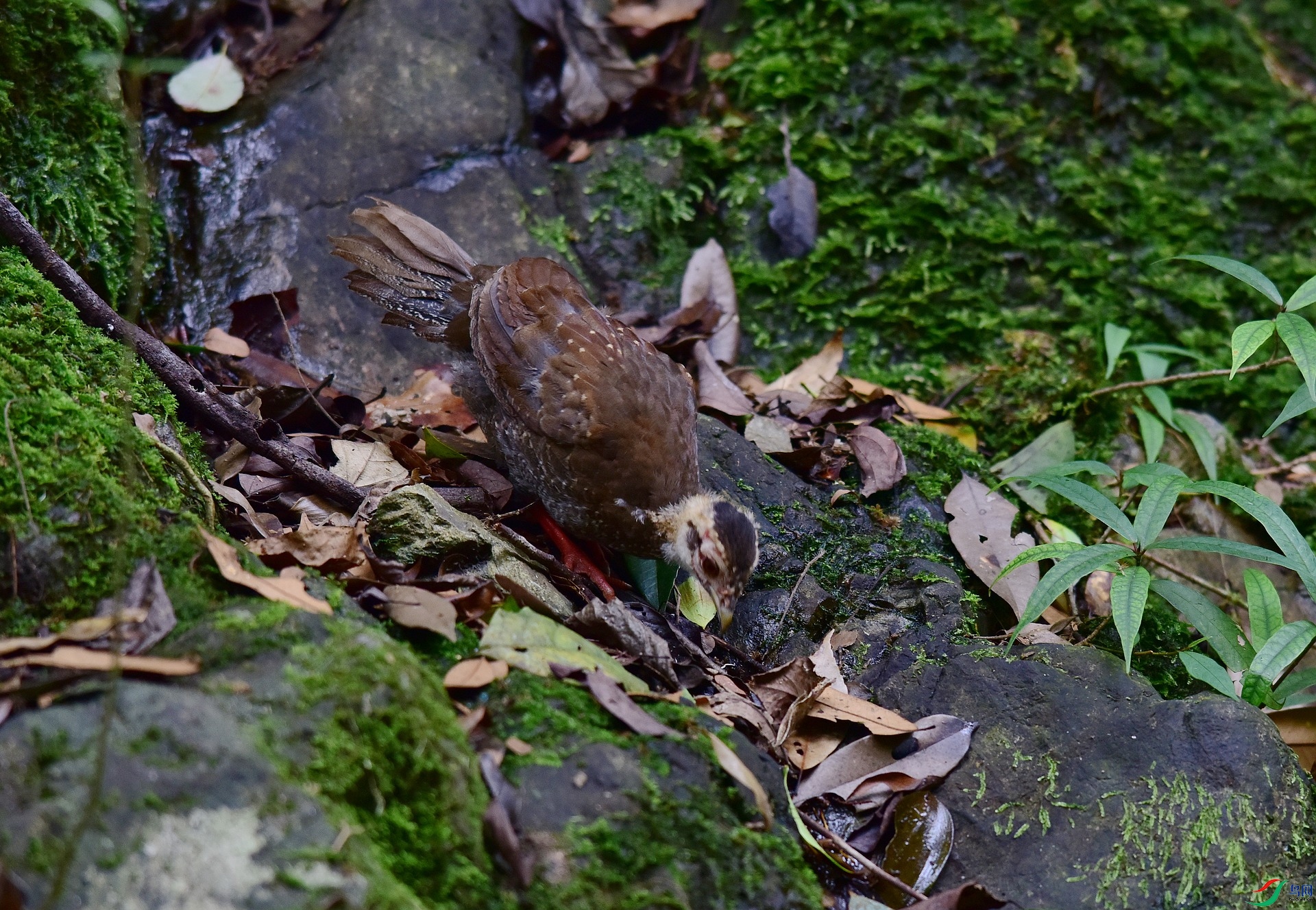 D8I_0650.jpg
