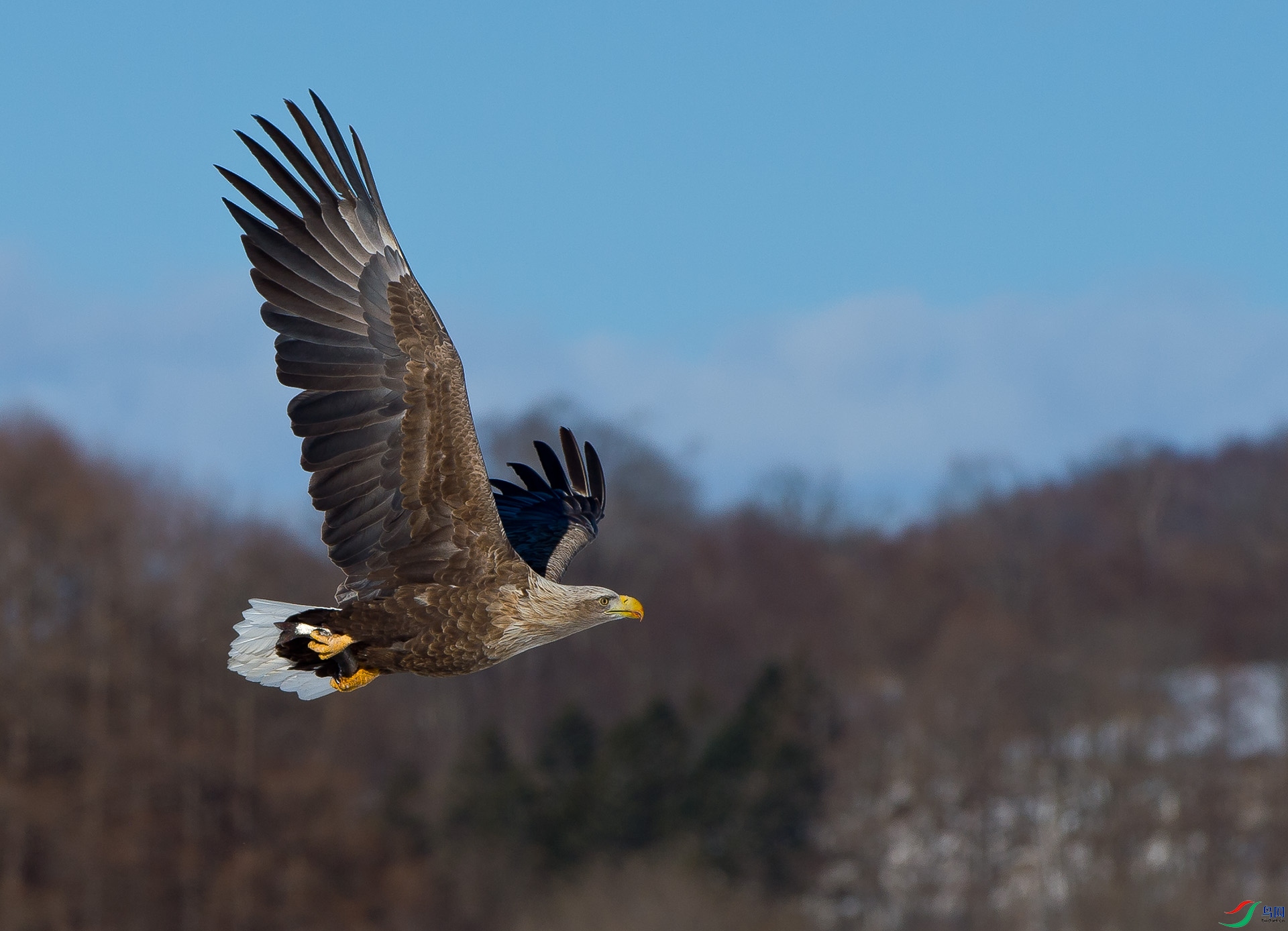 ��DSC_0158.jpg