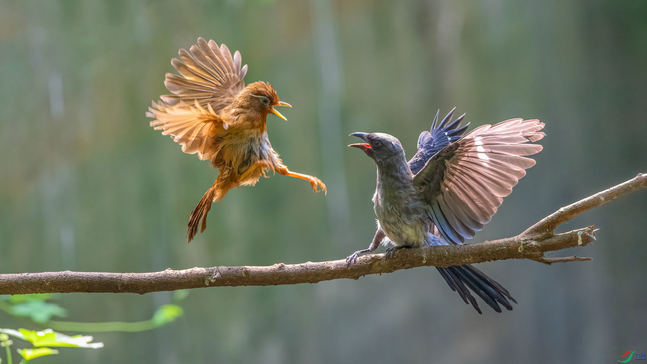 ��ƬDSC_2976 ����.jpg