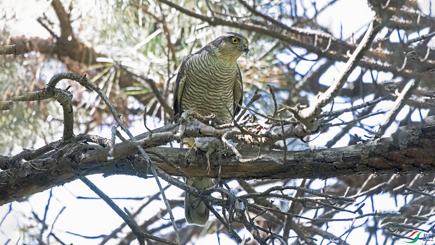 3U2A0088 ���� 2.jpg