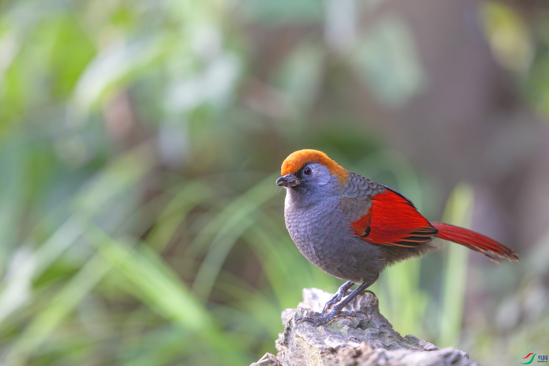 AQ4P0276-1.jpg