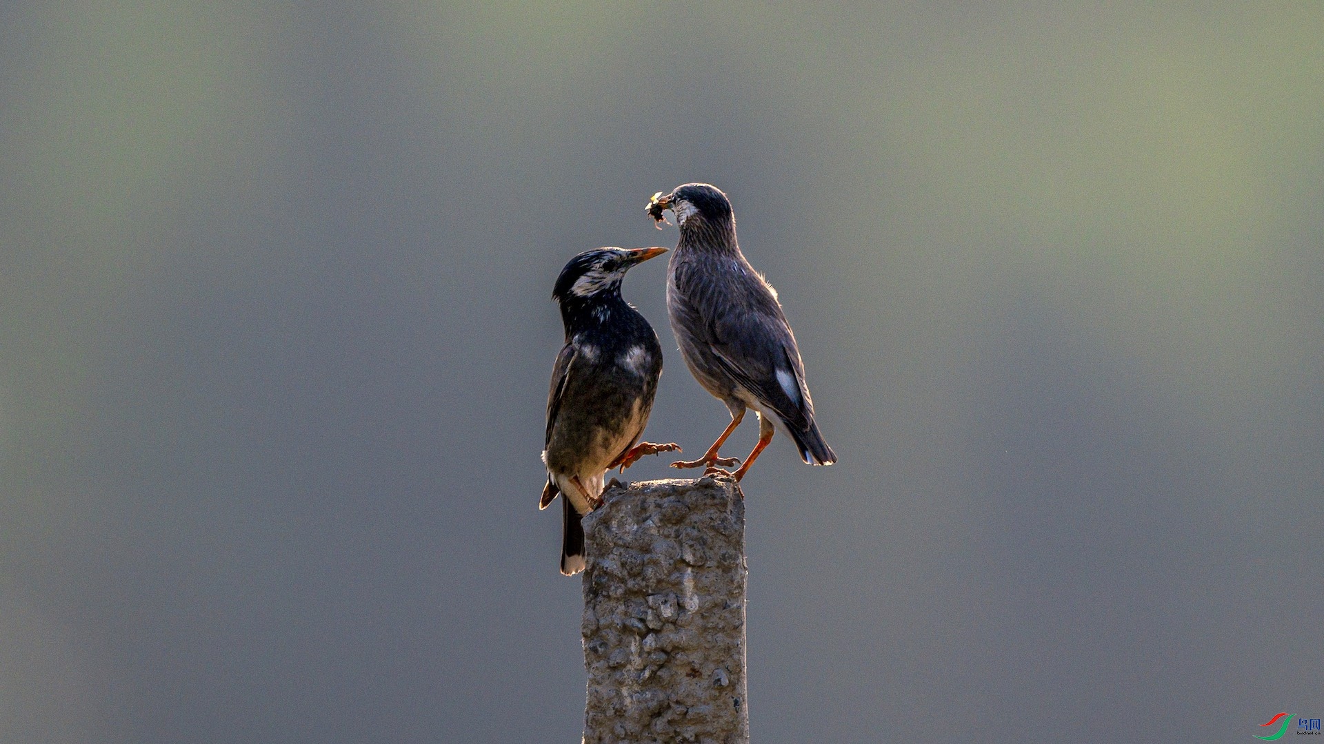 1_DSC0521 ����.jpeg