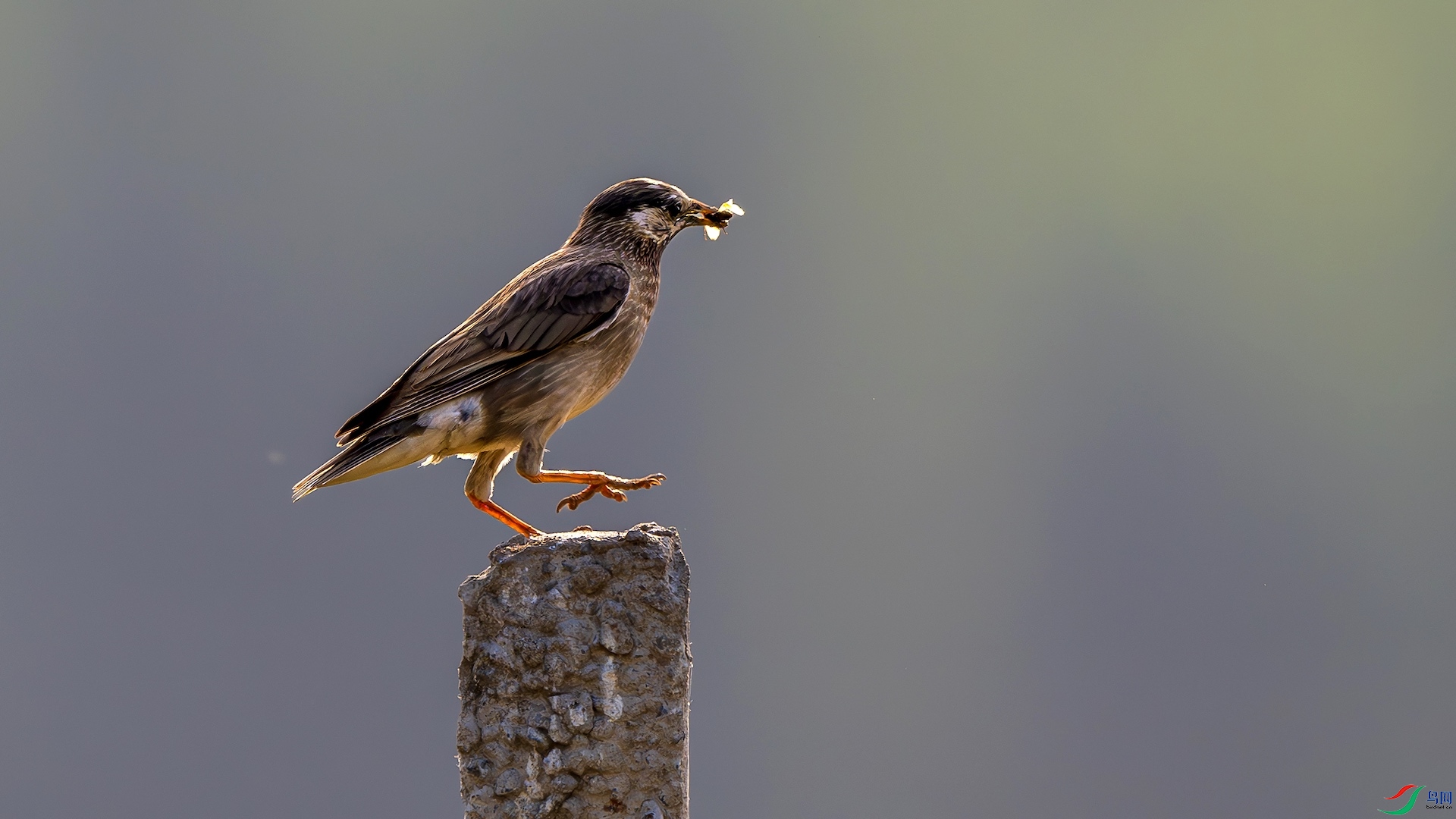 1_DSC0558-����ǿ-NR ����.jpeg