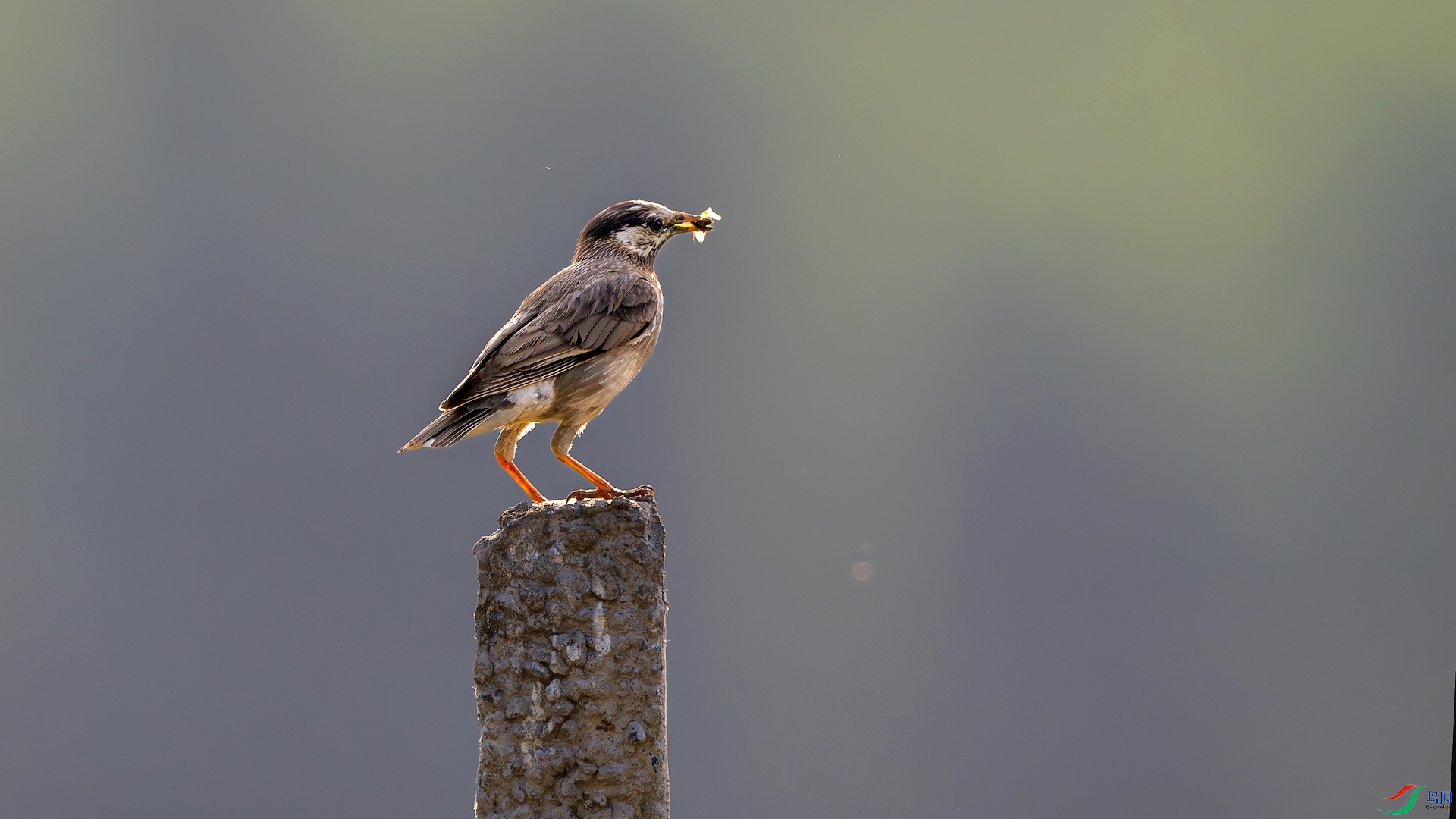 1_DSC0562-����ǿ-NR ����.jpeg