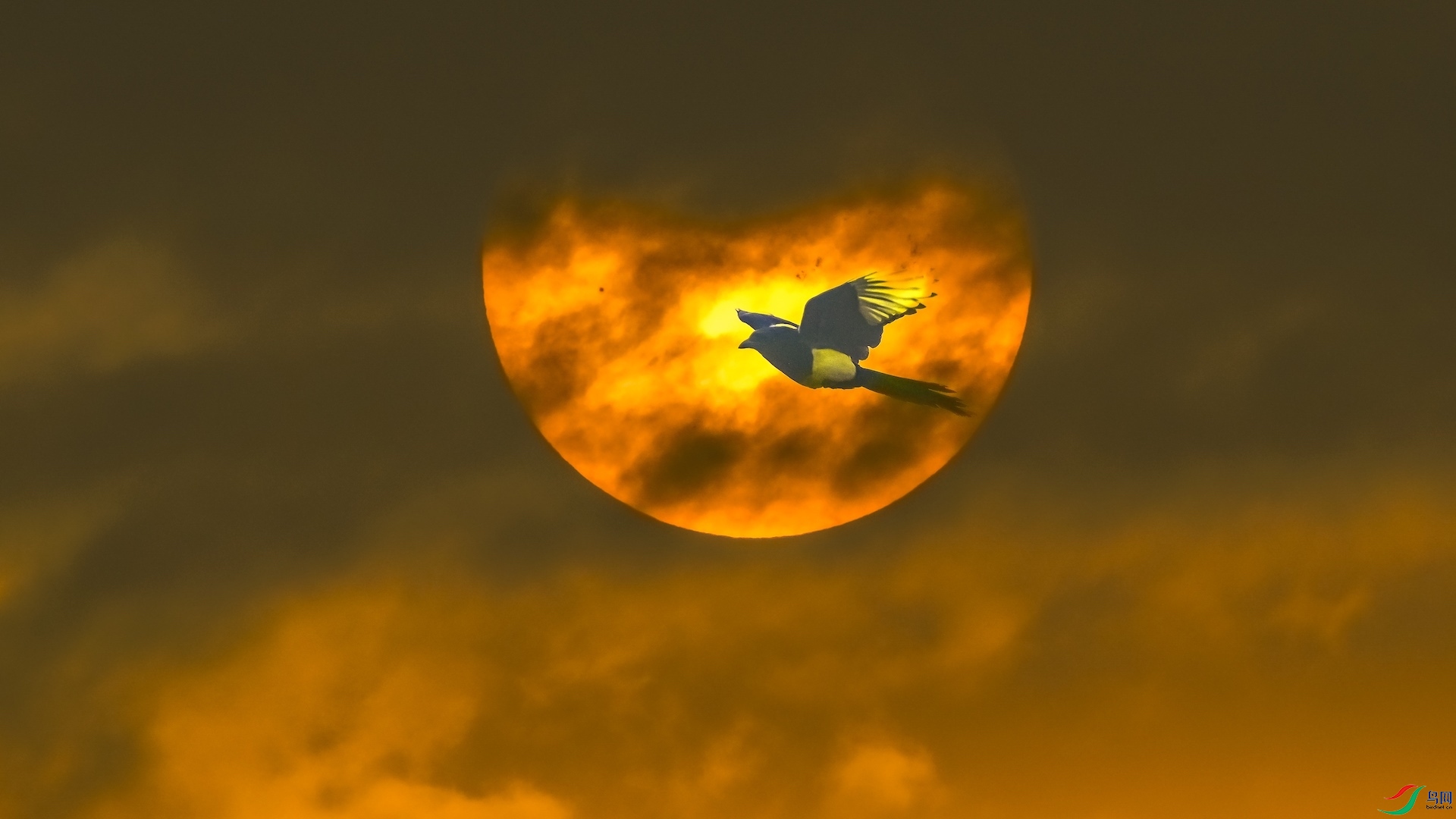 1_DSC0872 ���� 2.jpg