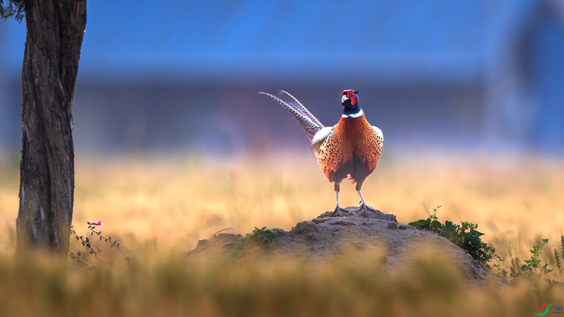 1_DSC8858-����ǿ-NR ����.jpeg