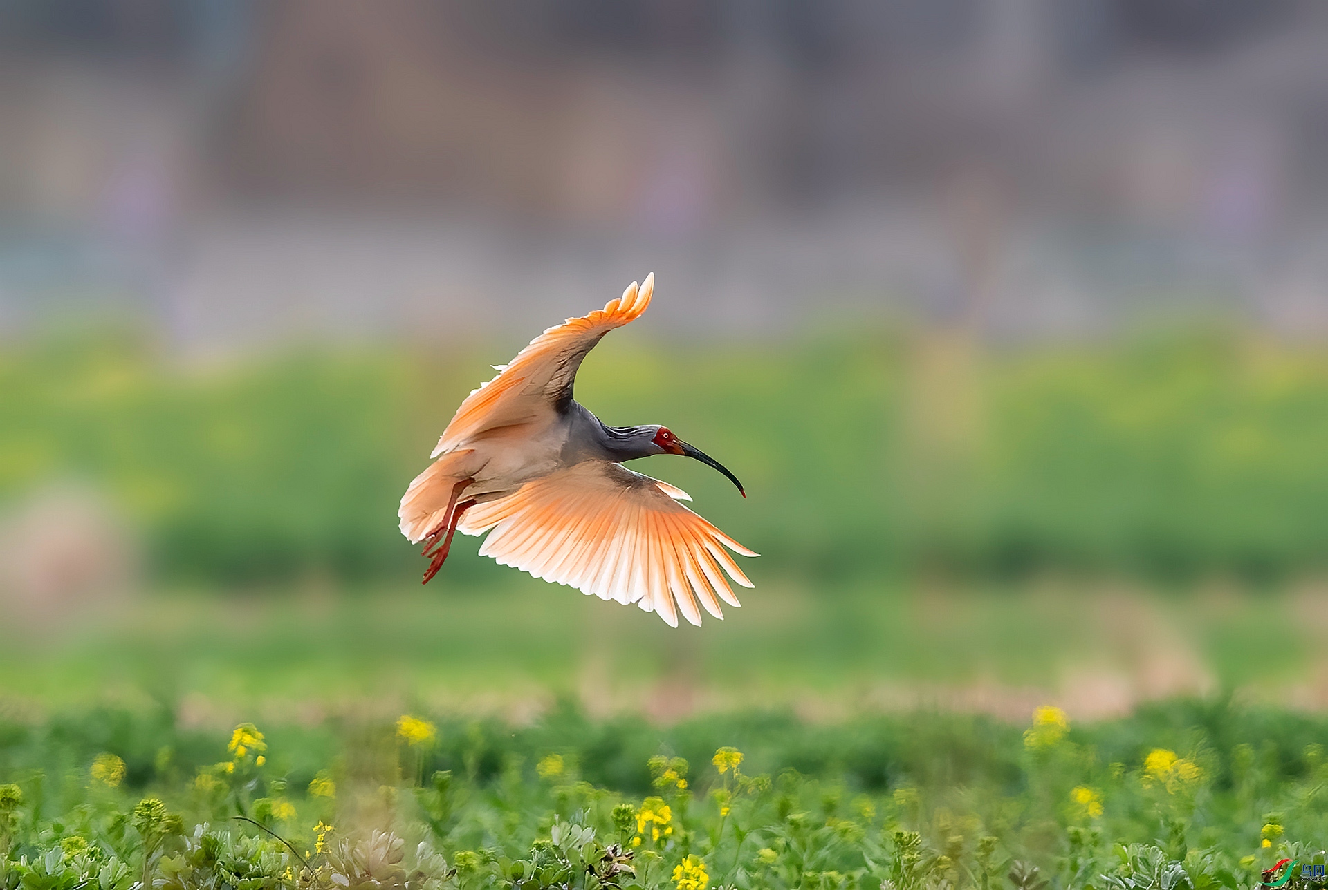 DSC_0755 ����_����.jpg