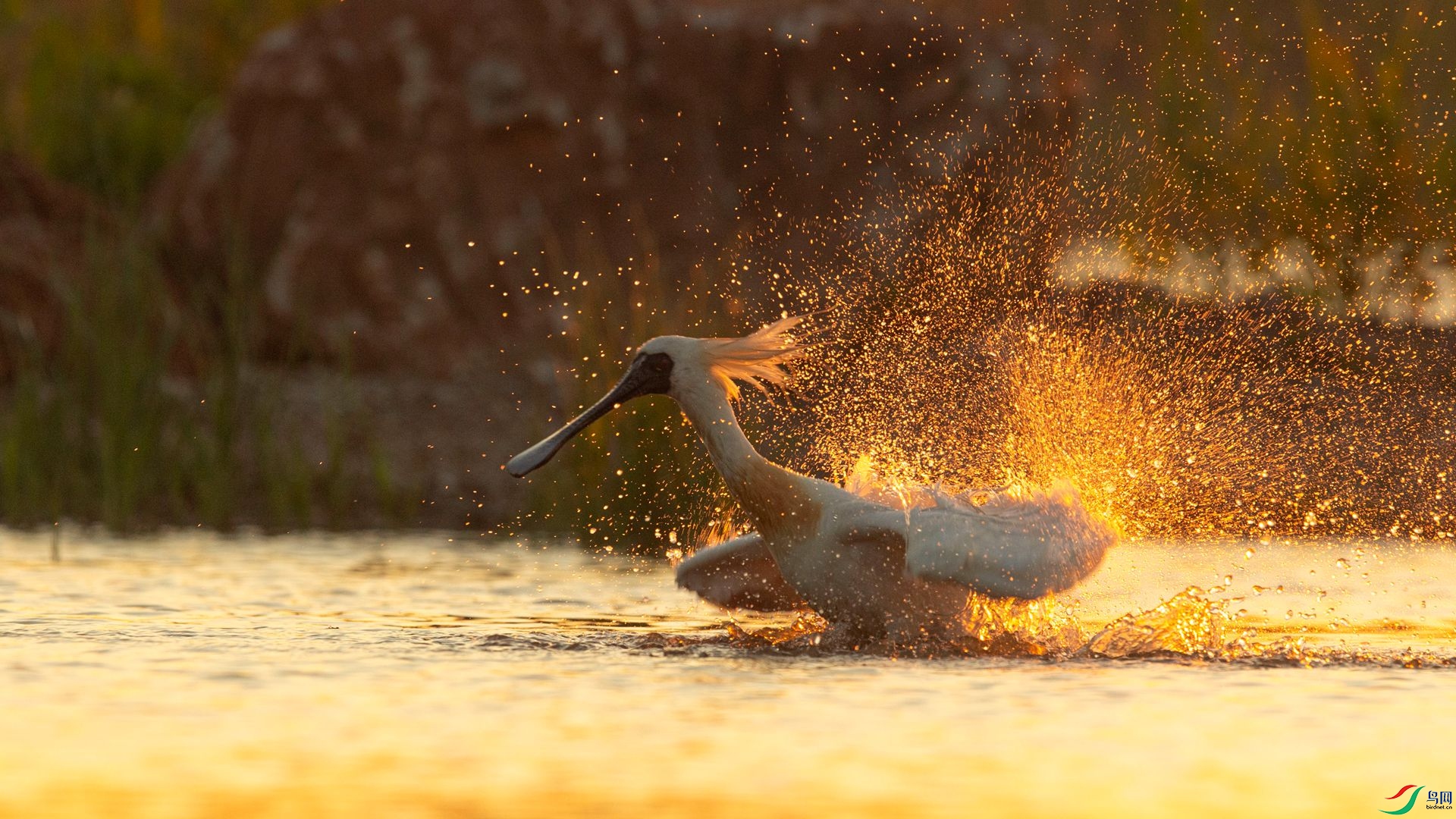 �� ҹ�� �����ү.jpg