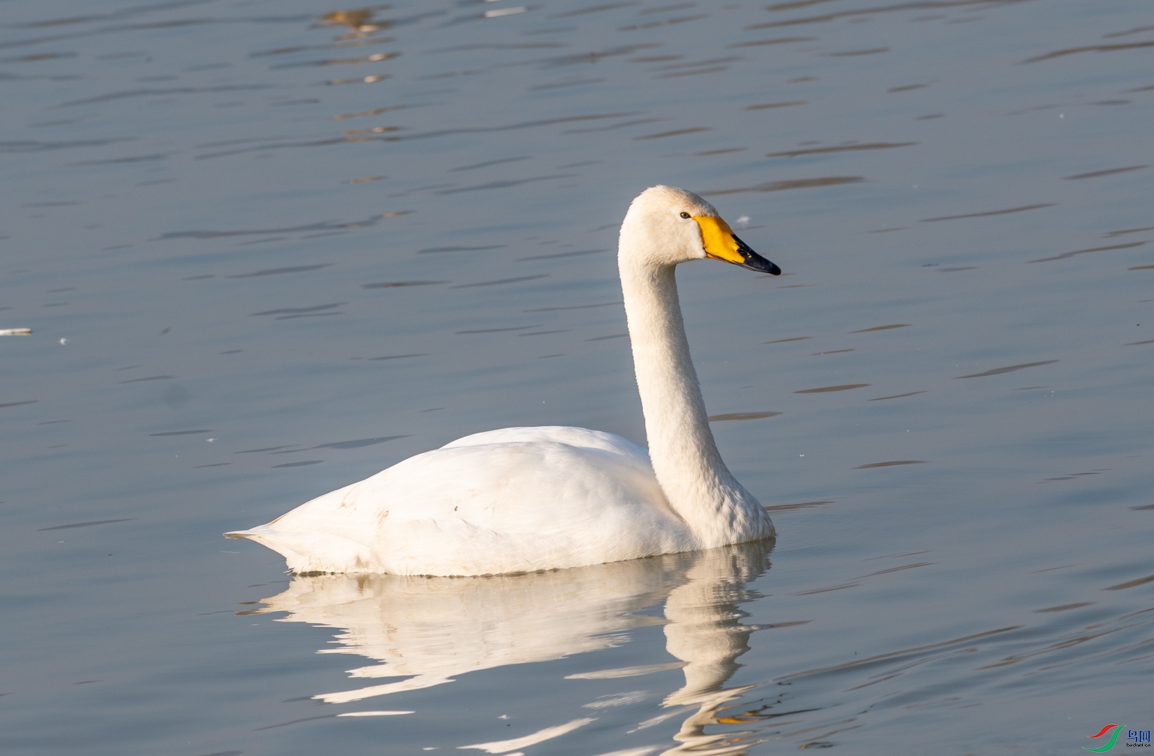 DSC_8531.jpg