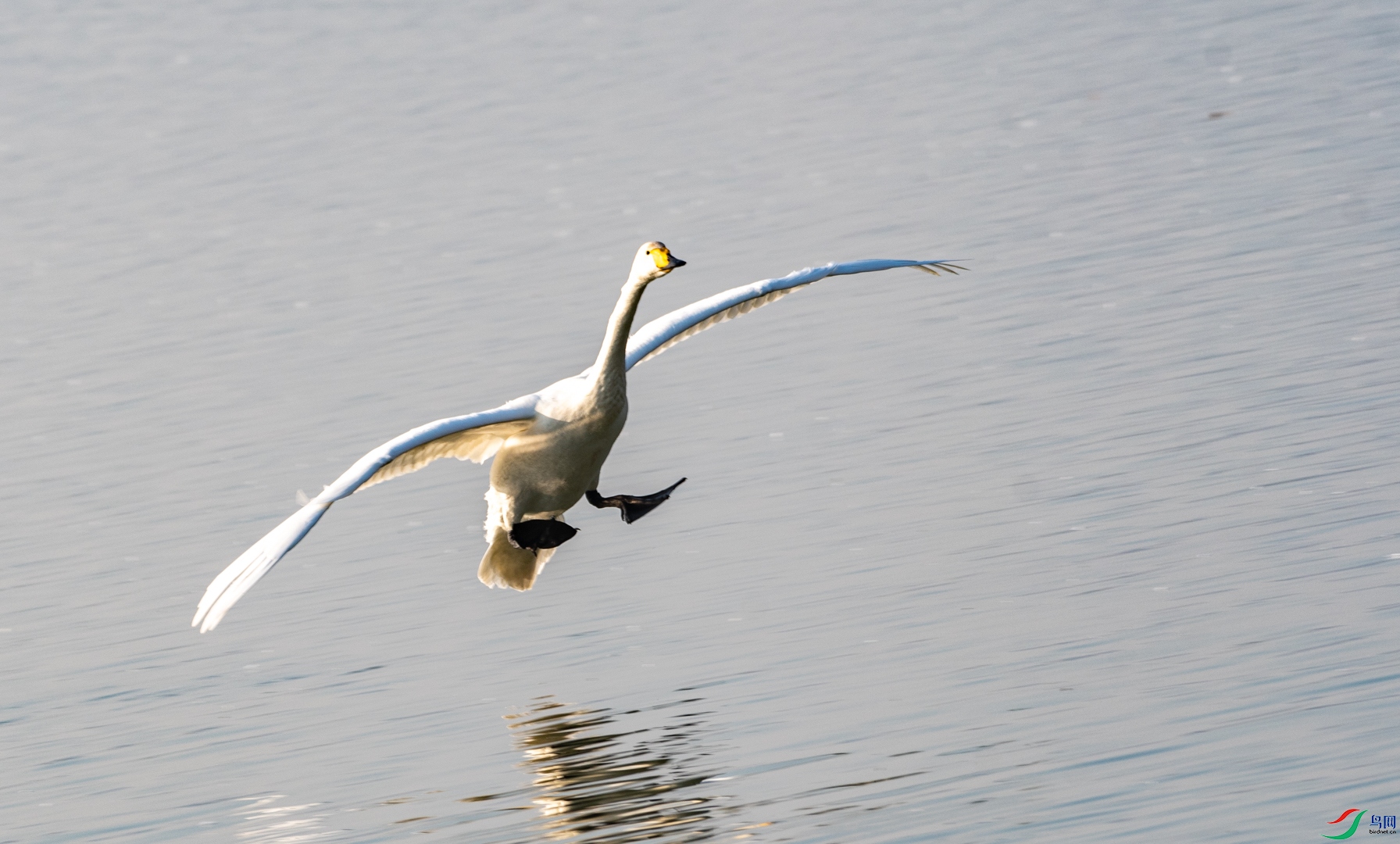 DSC_8548.jpg