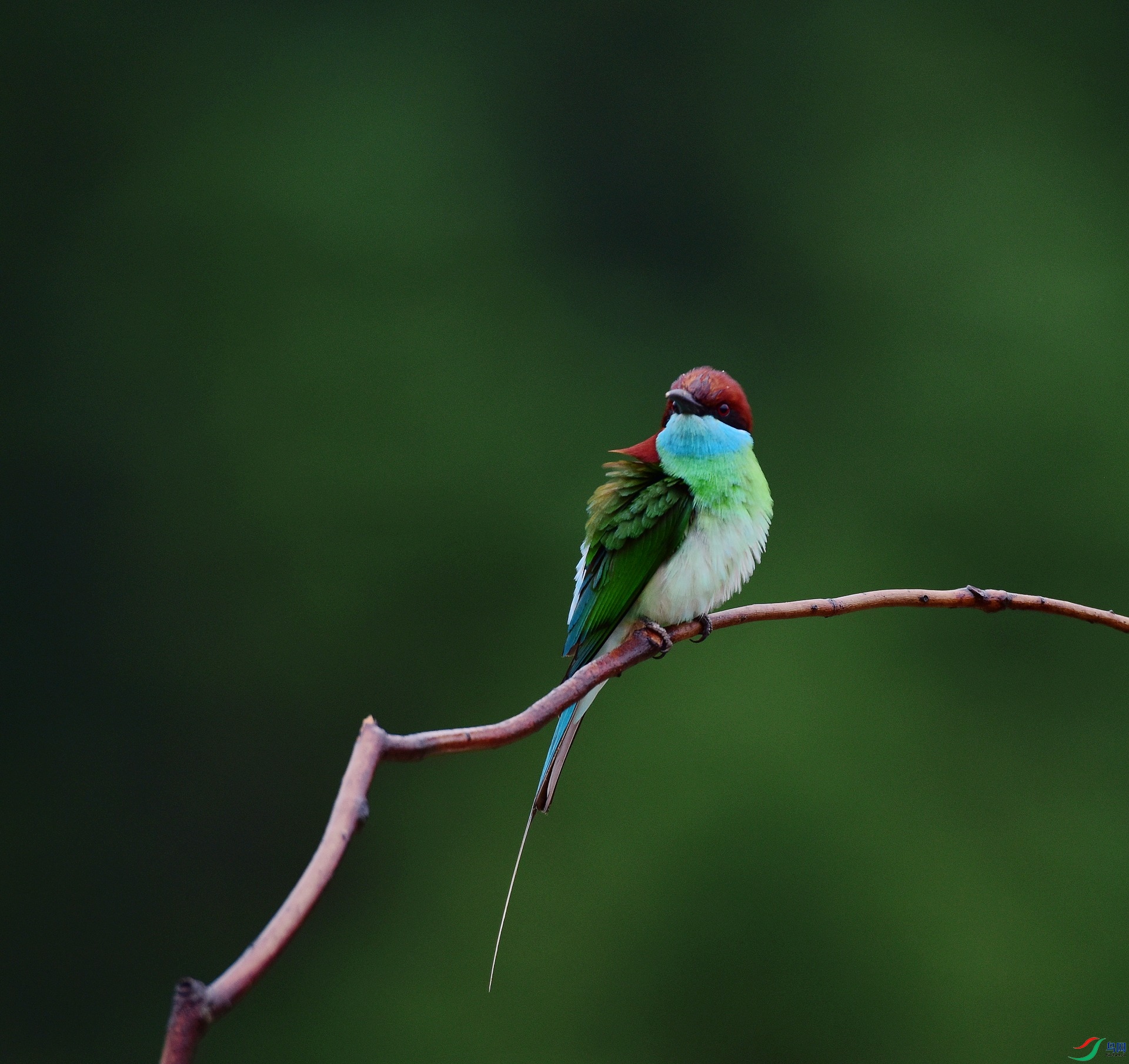 D8I_0933.jpg
