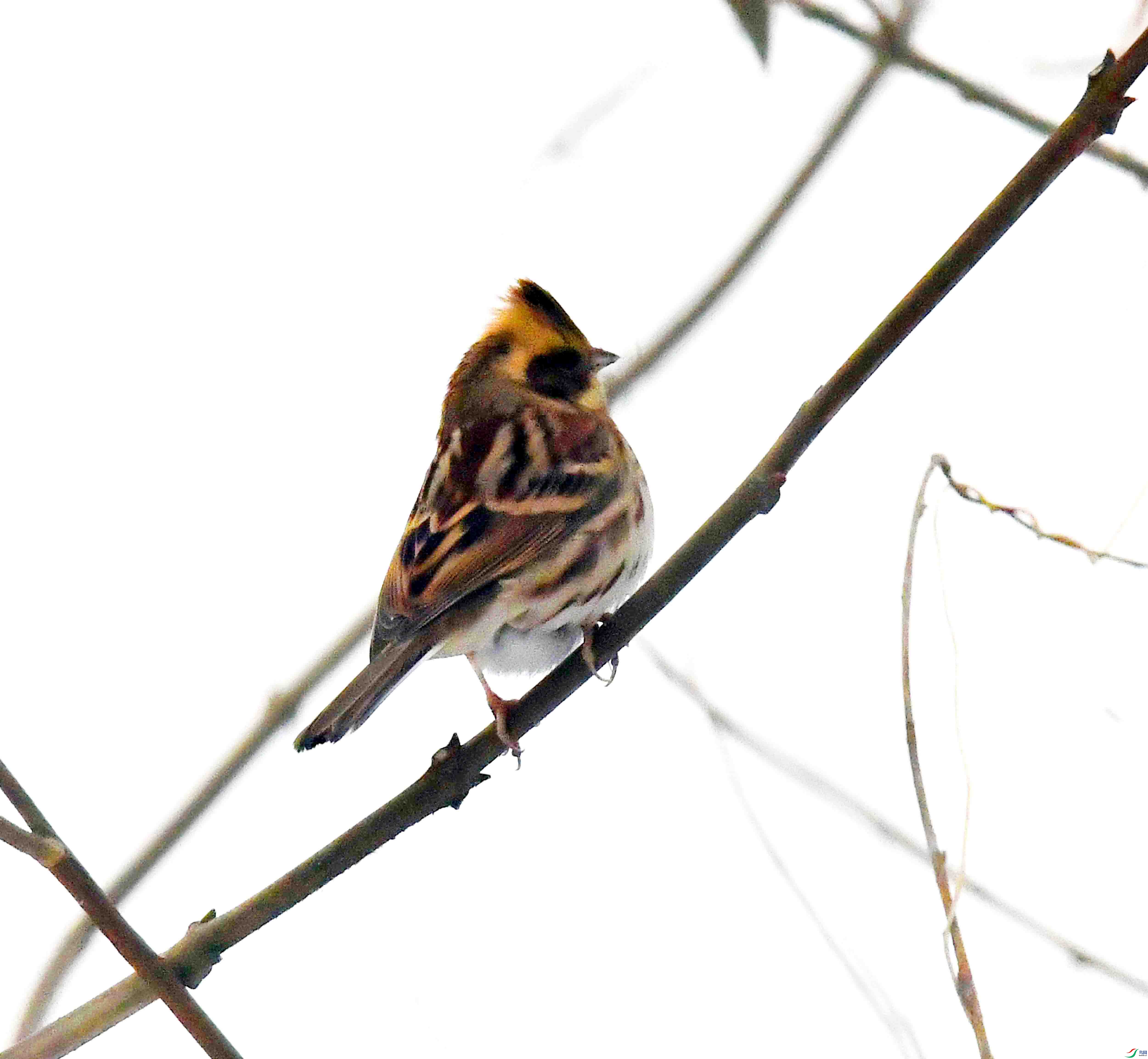DSC_0402.JPG
