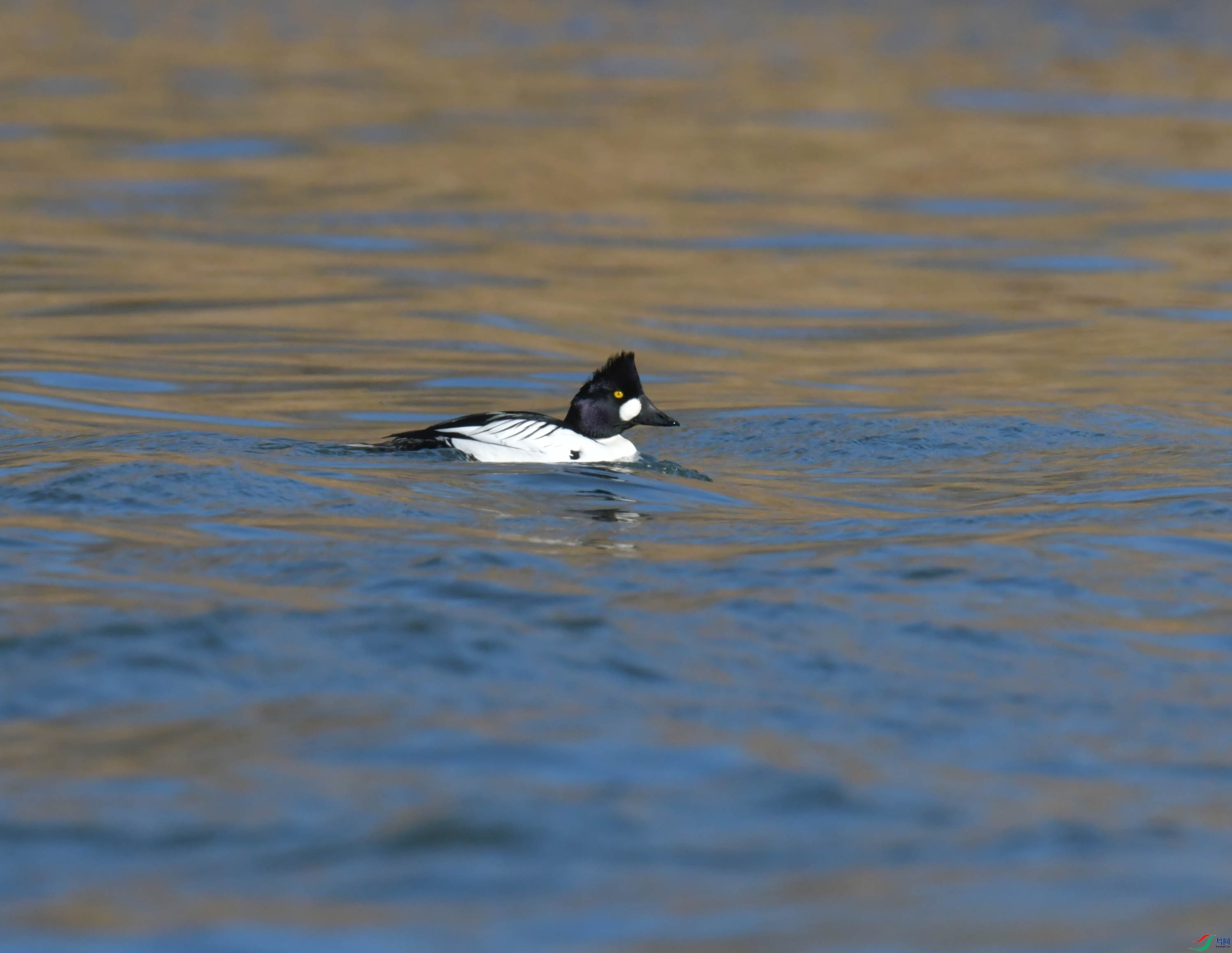 DSC_0391.JPG