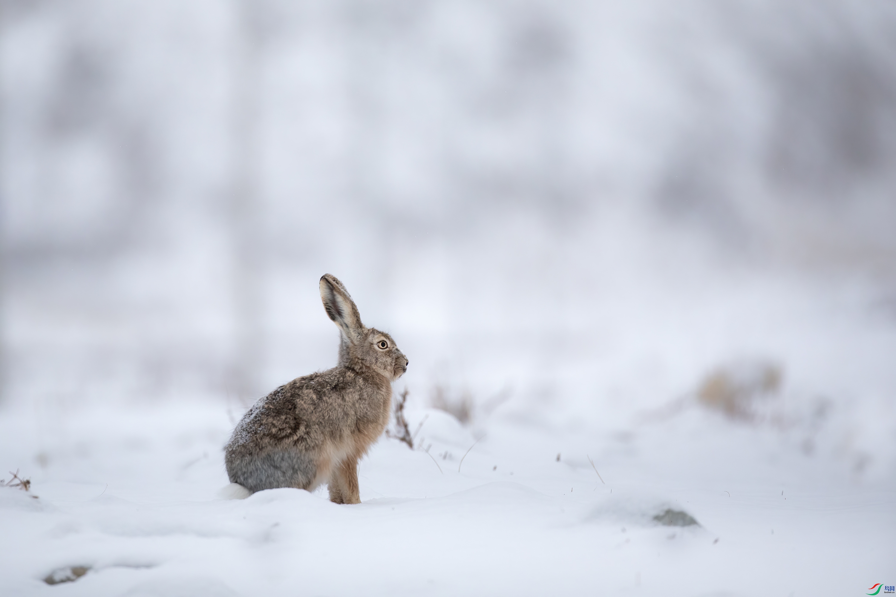 3S5A2872 ����.jpg