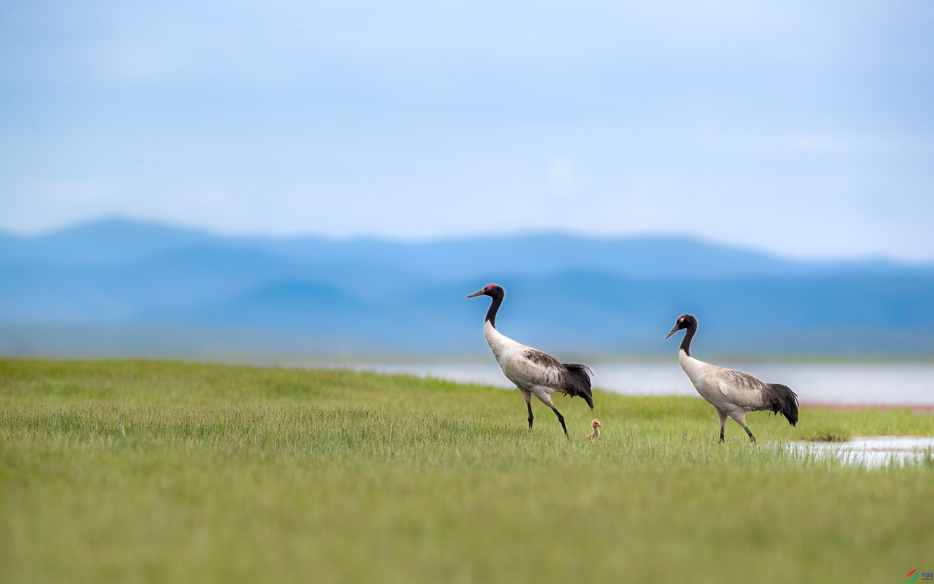 AY8I2354 ����.jpg