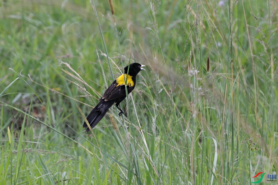 ΢��ͼƬ_20240610211637 ����.jpg