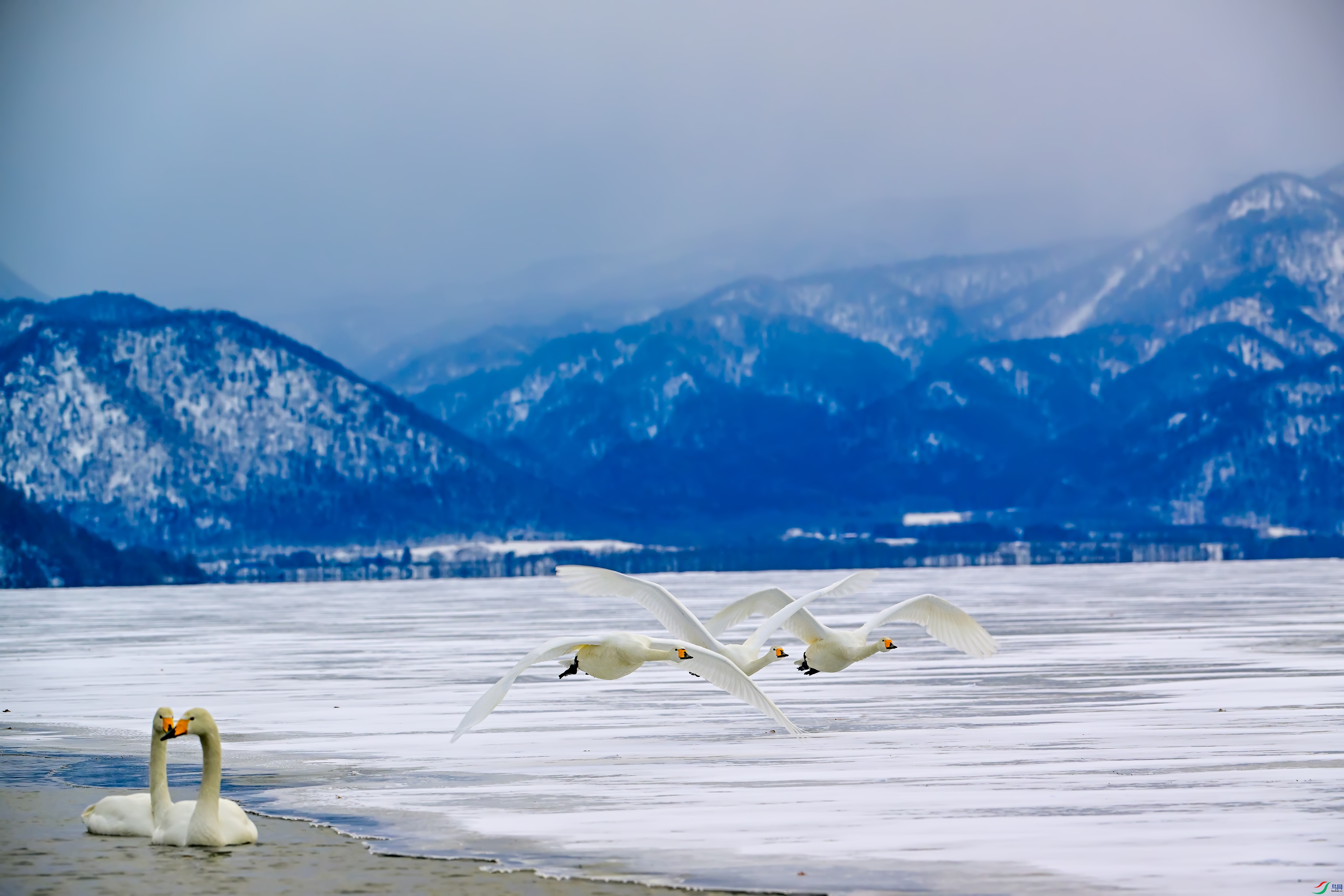 DSC_0719--2.jpg