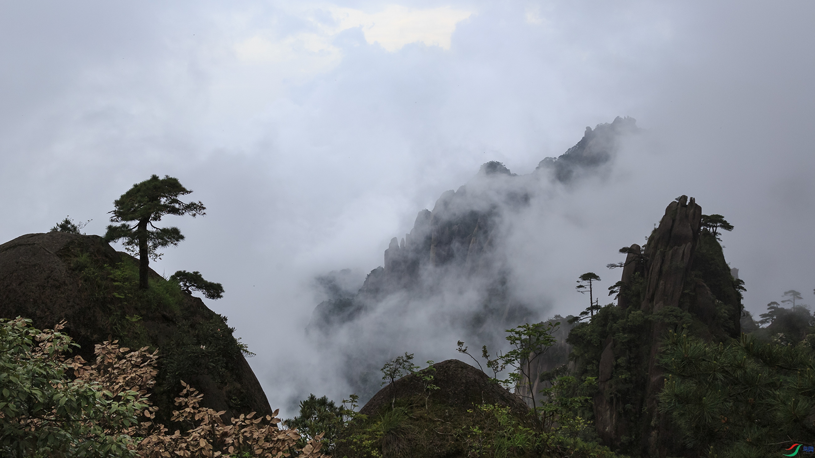 8V0A6875.jpg