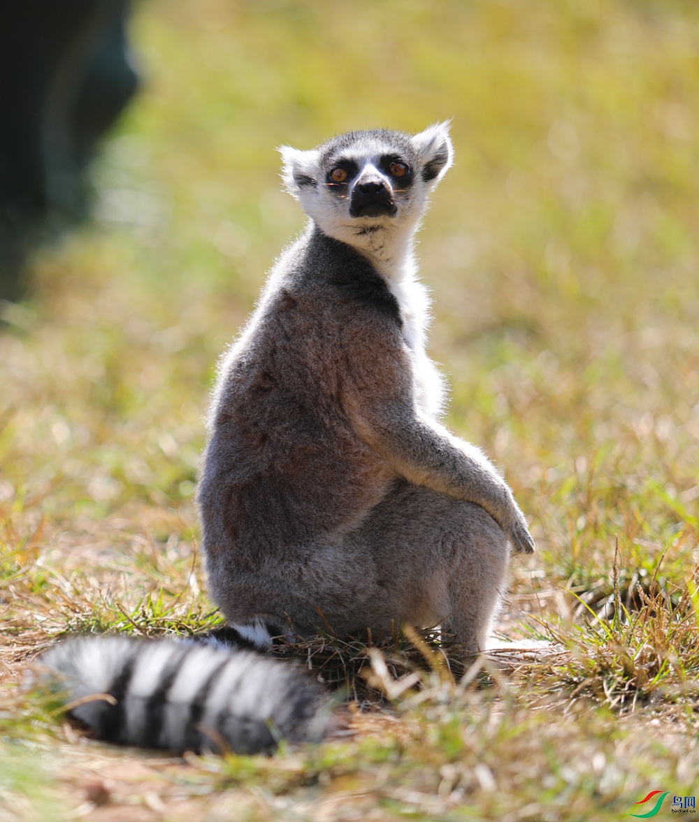 ���� (4).JPG