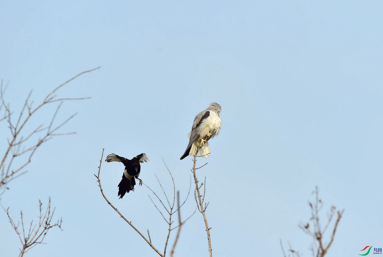 DSC_5159_����.jpg
