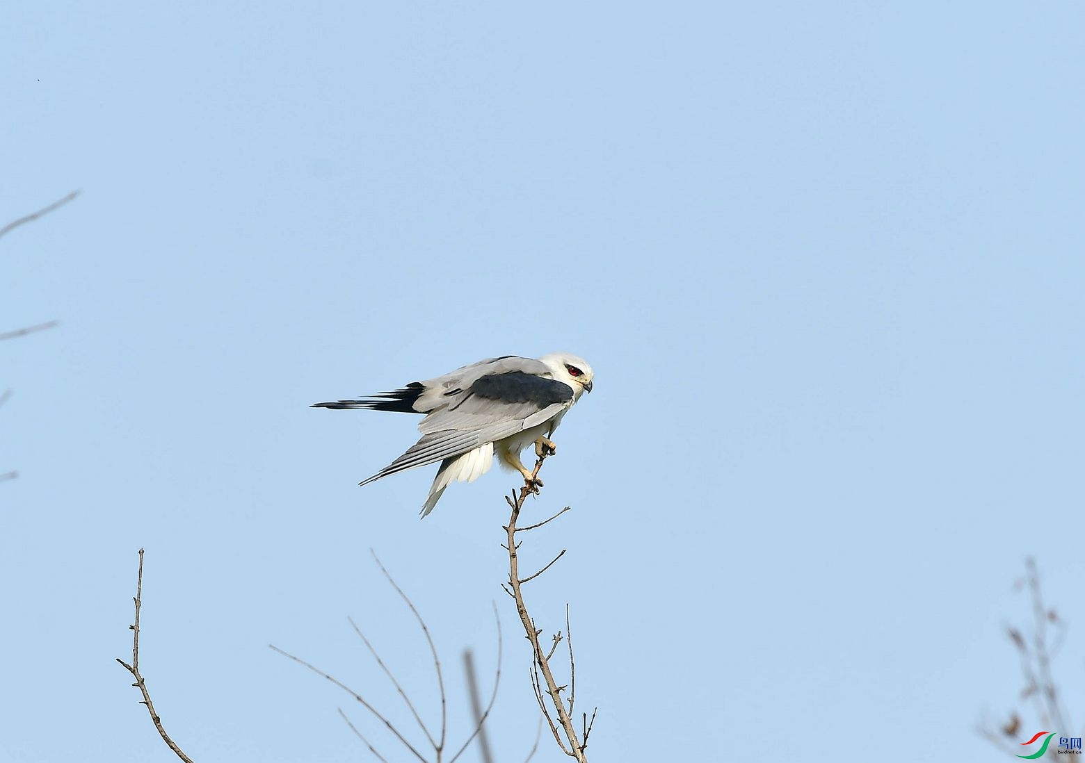 DSC_5184_����.jpg