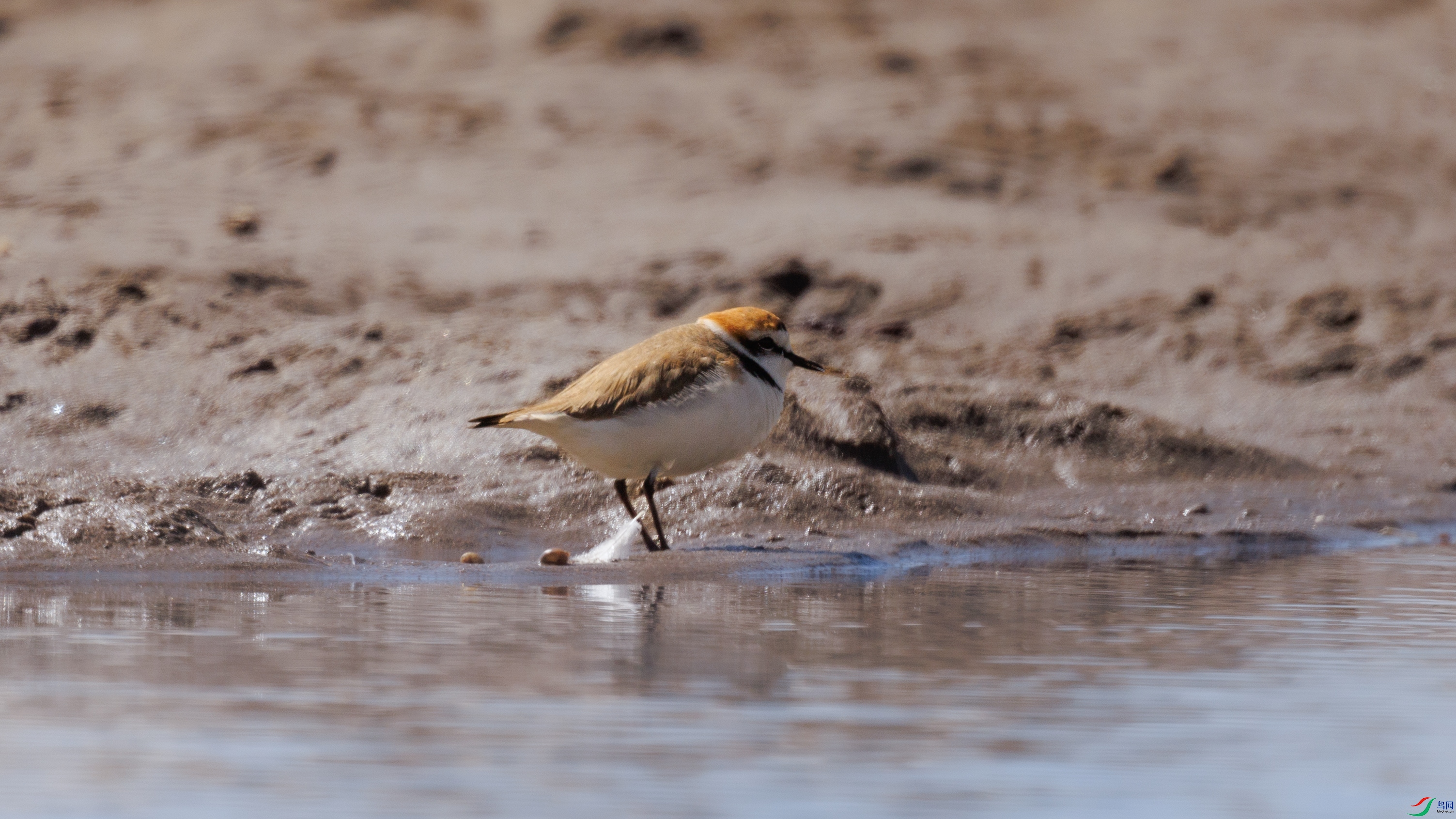 7X5A0887 ����.jpg