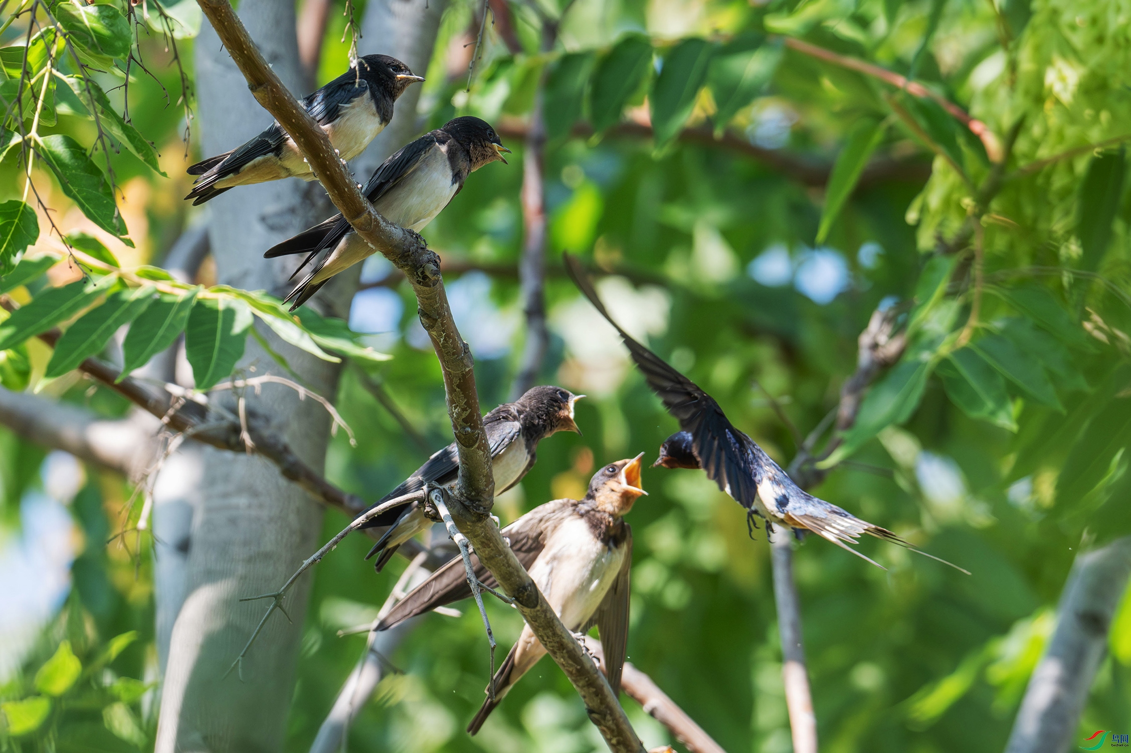 DSC_3587.jpg