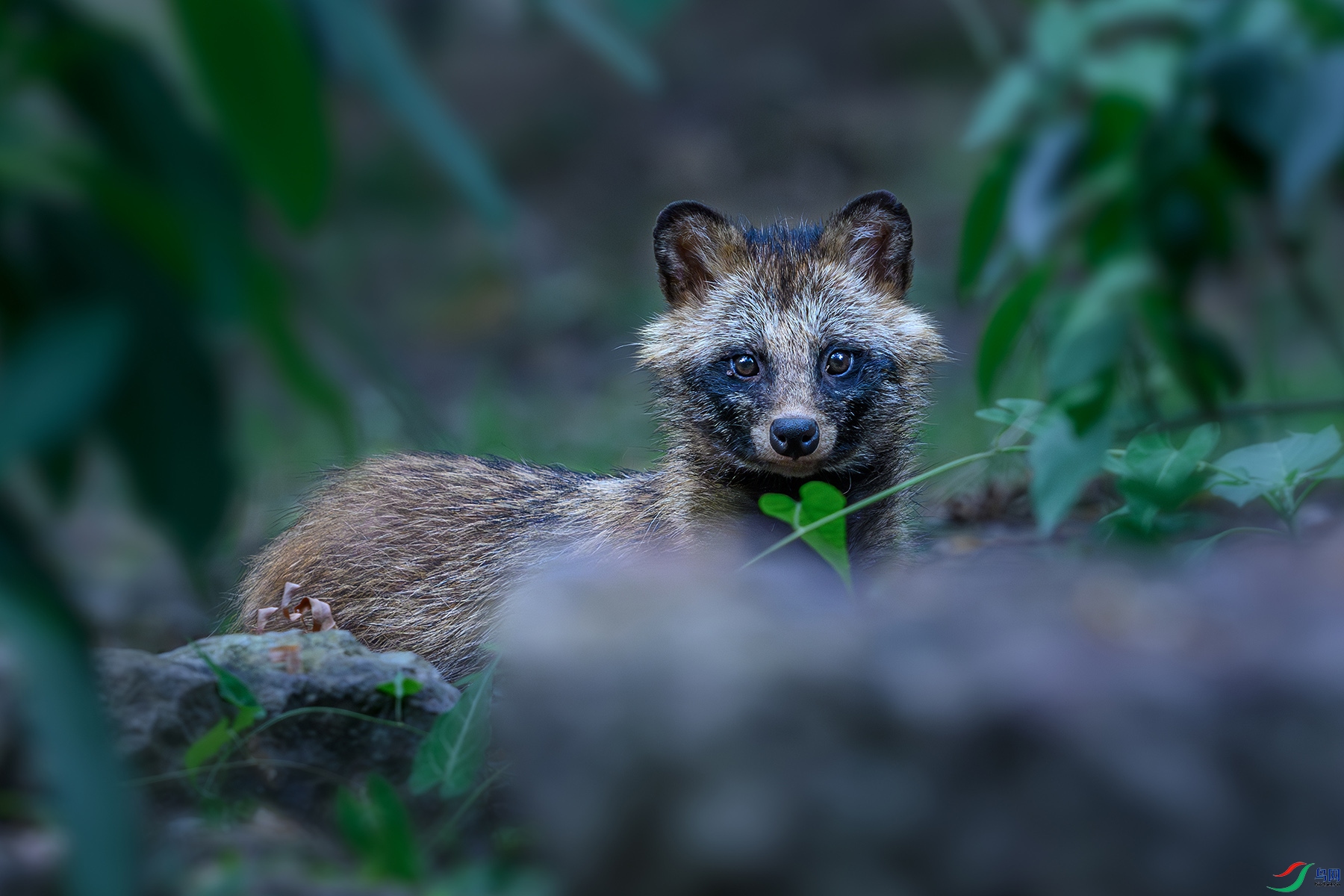 DSC_8039-1.jpg