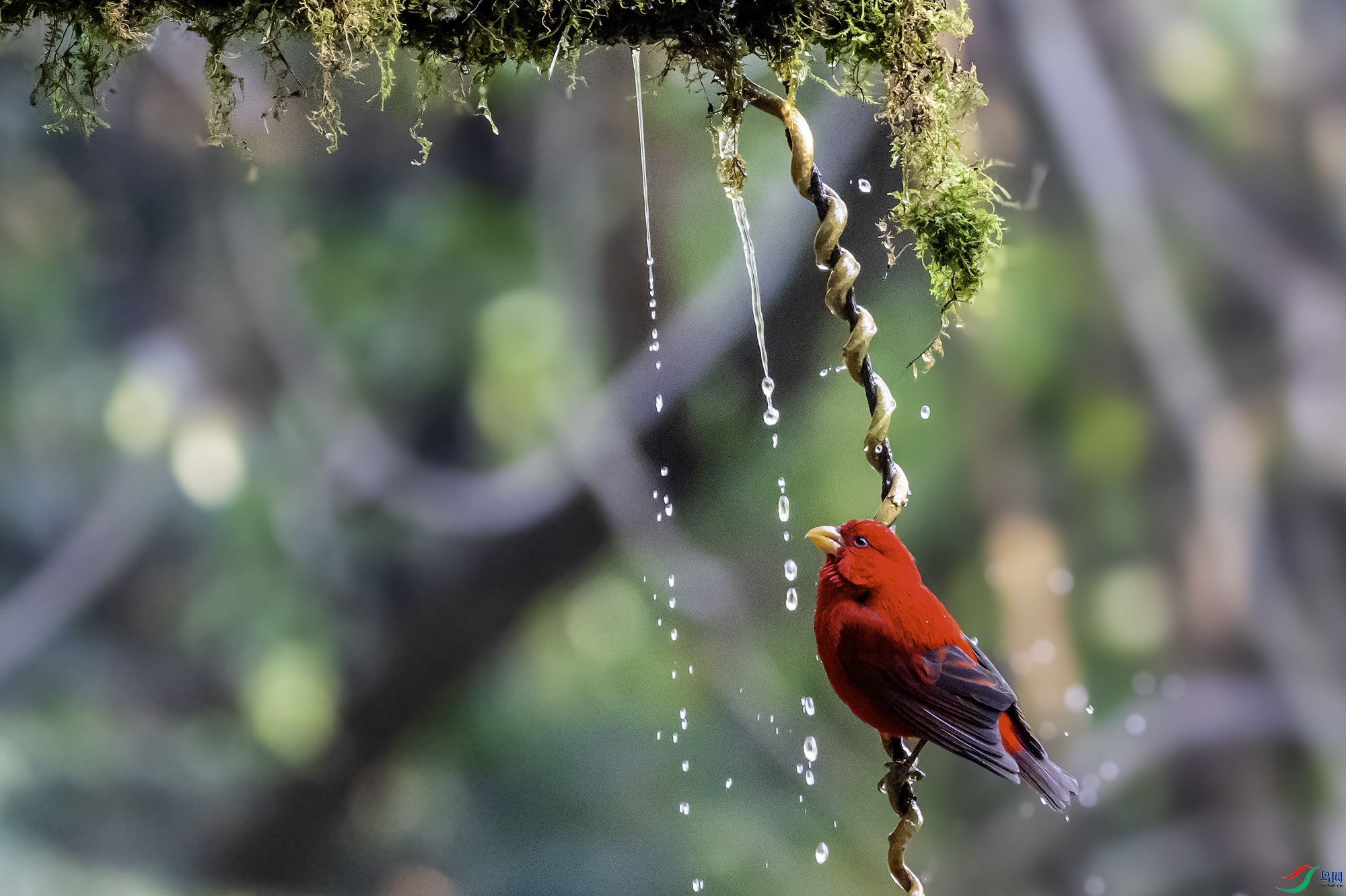 _DSC9990a ����.jpg