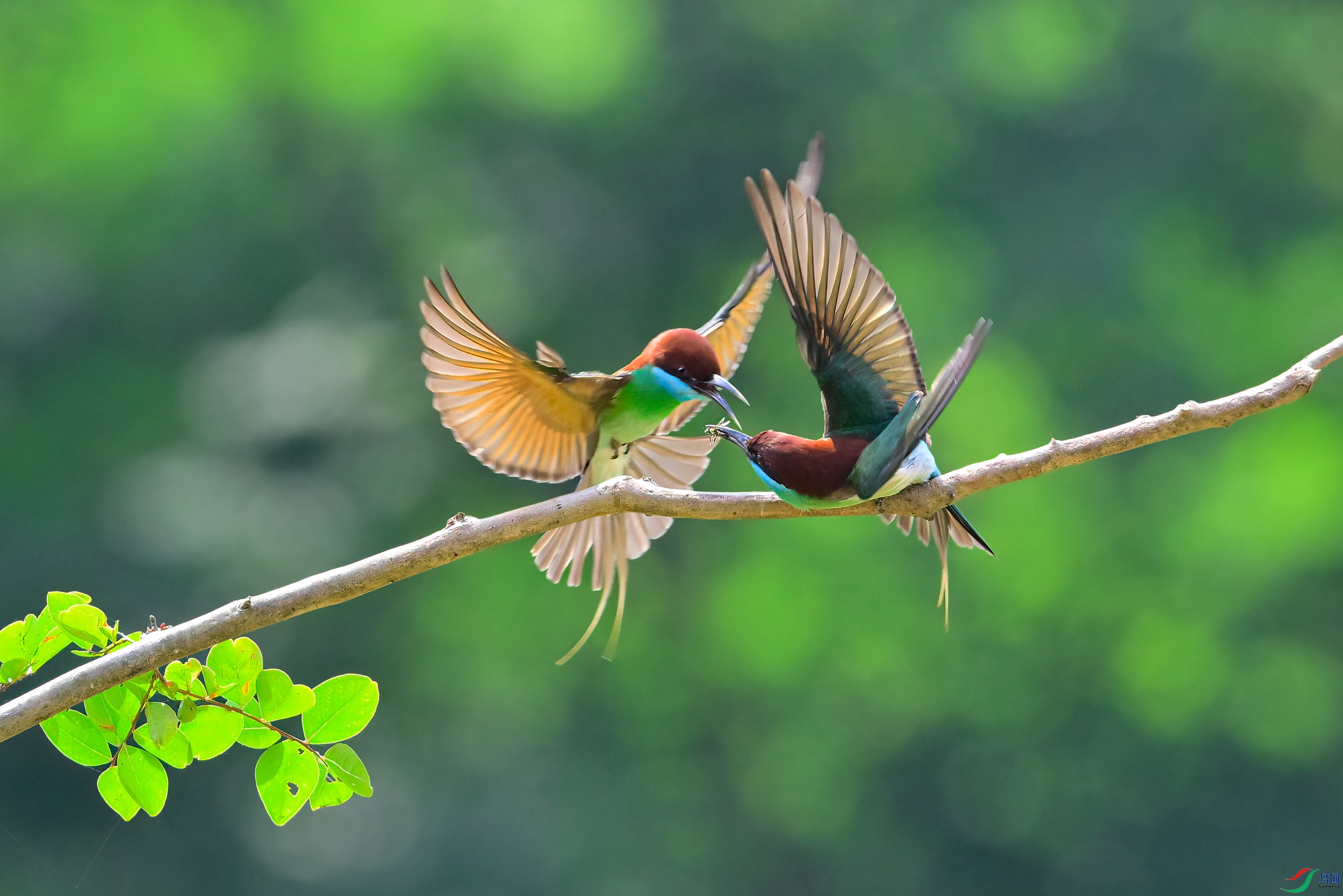 _DSC0797x.jpg