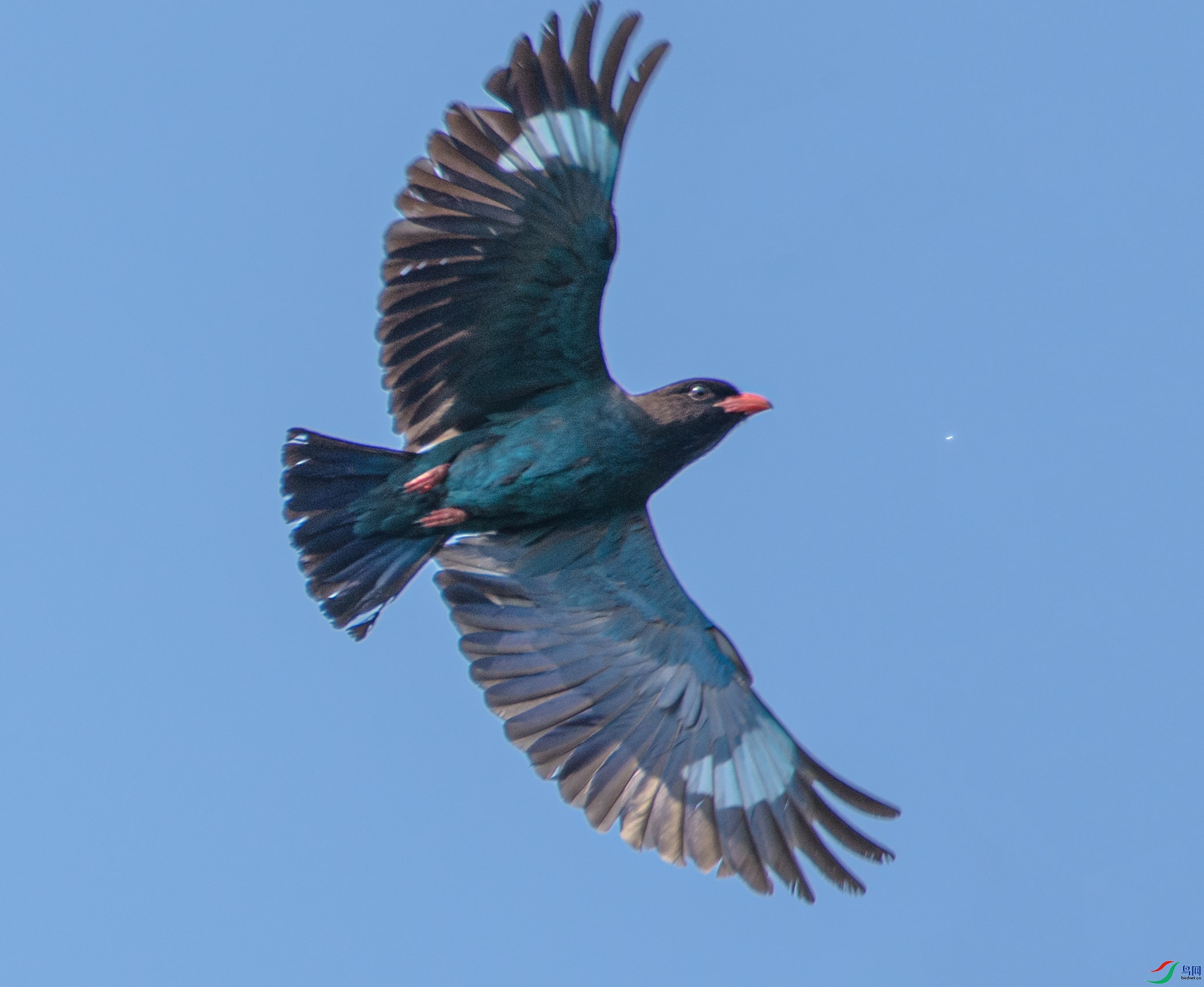 DSC_2437 --����--2.jpg