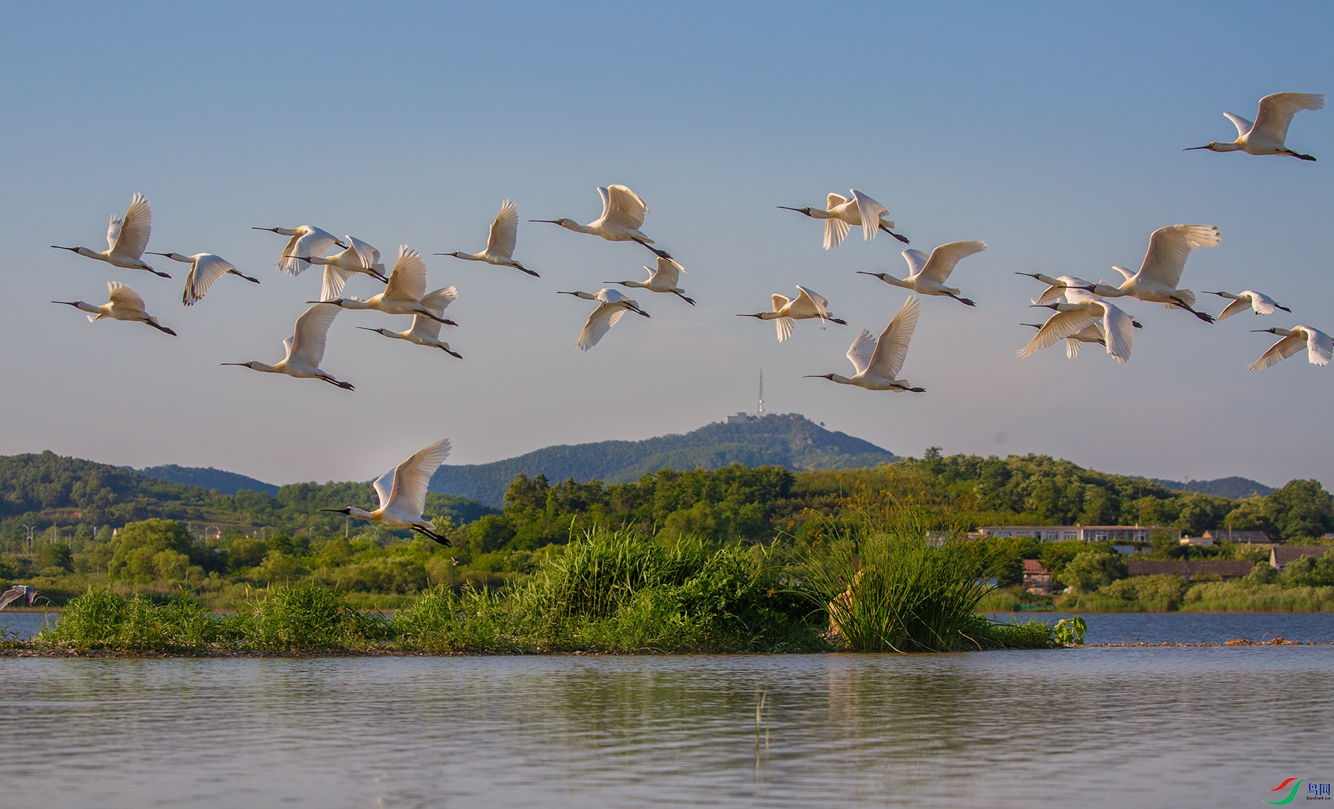 _16A6587����  02.jpg