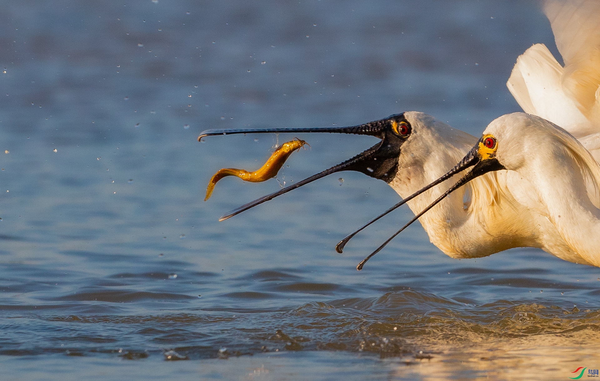 _16A7046����  02.jpg