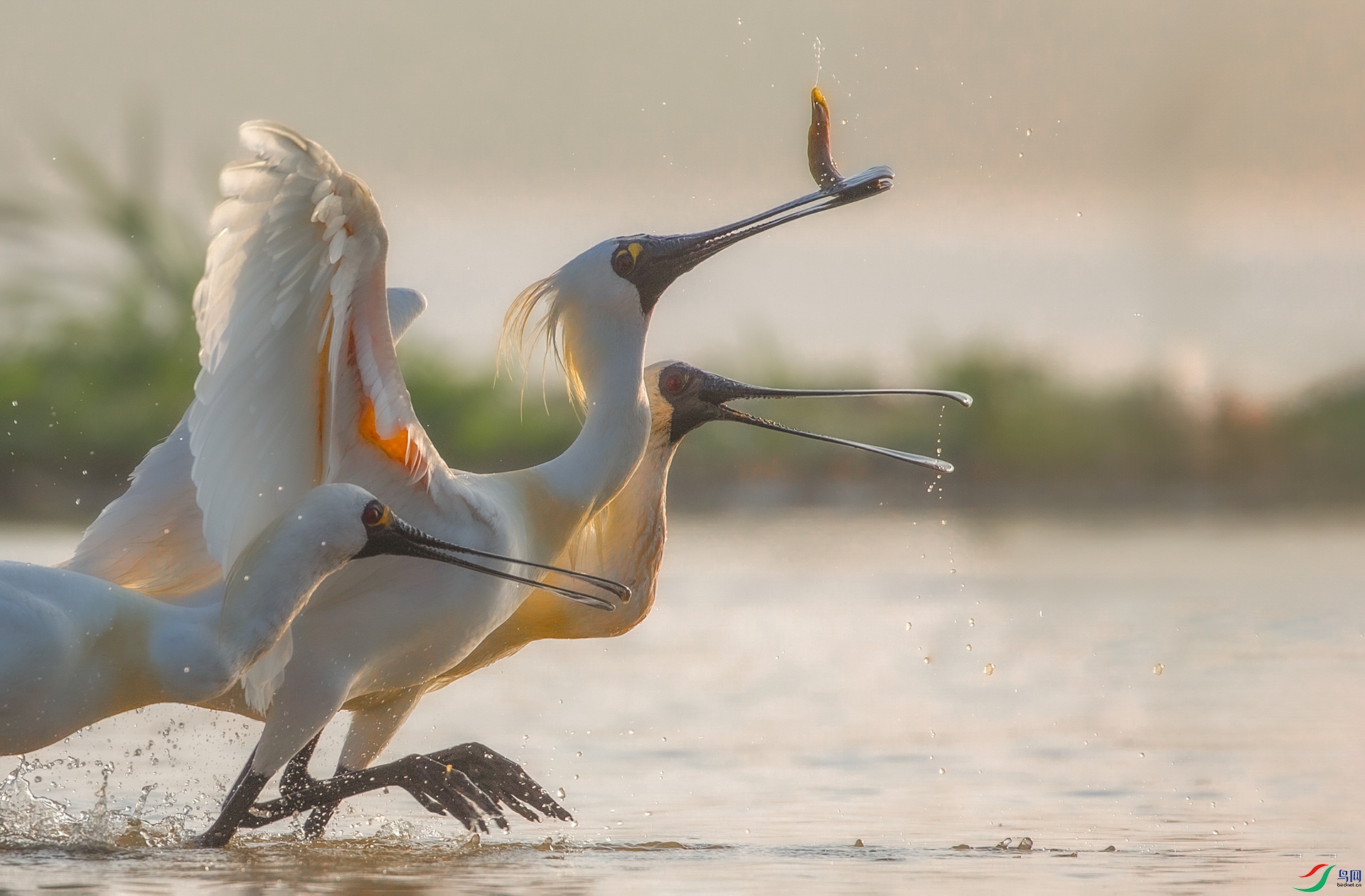 _16A8447���� 03.jpg