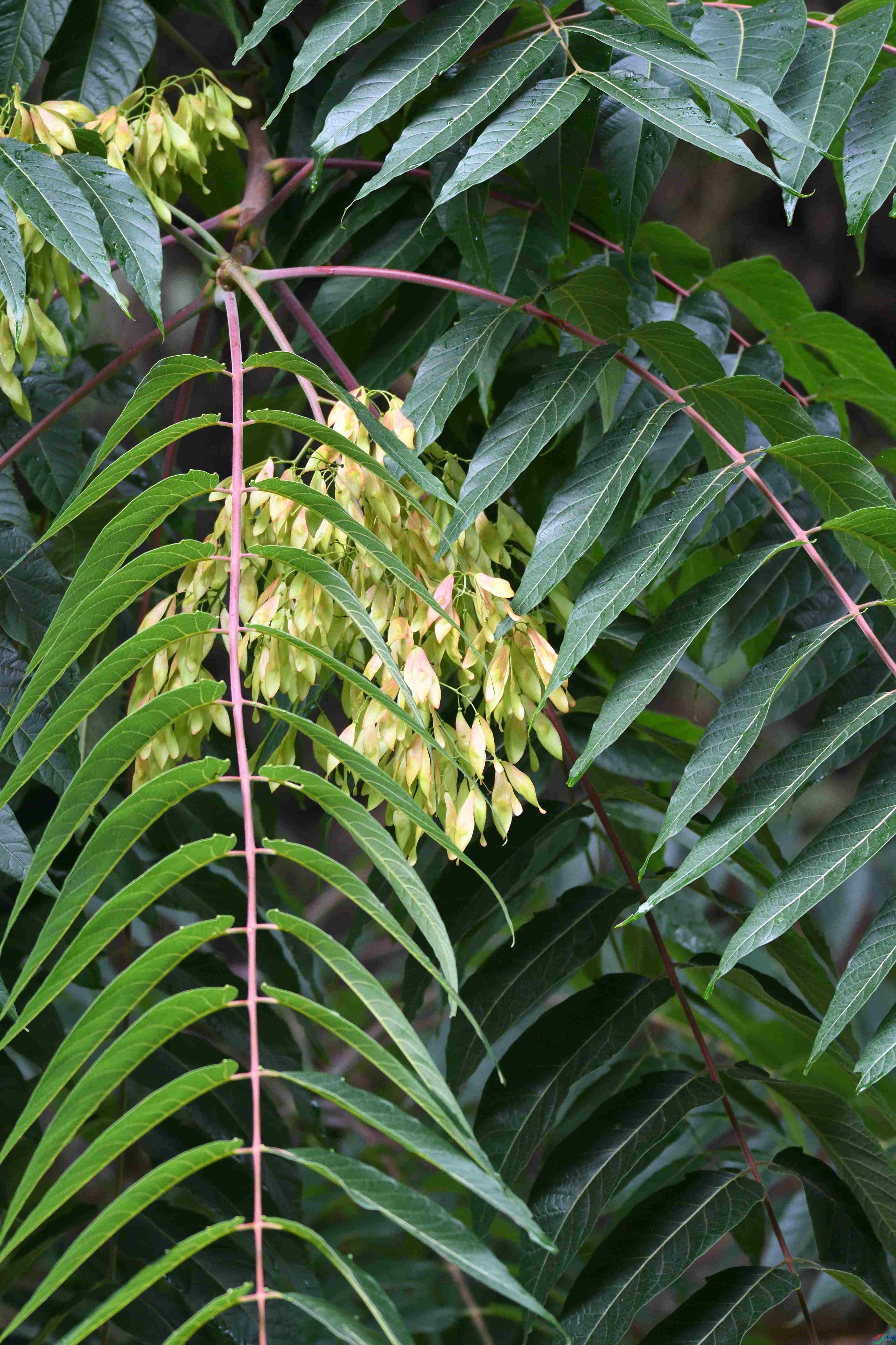 ���޵ĳ�������������������