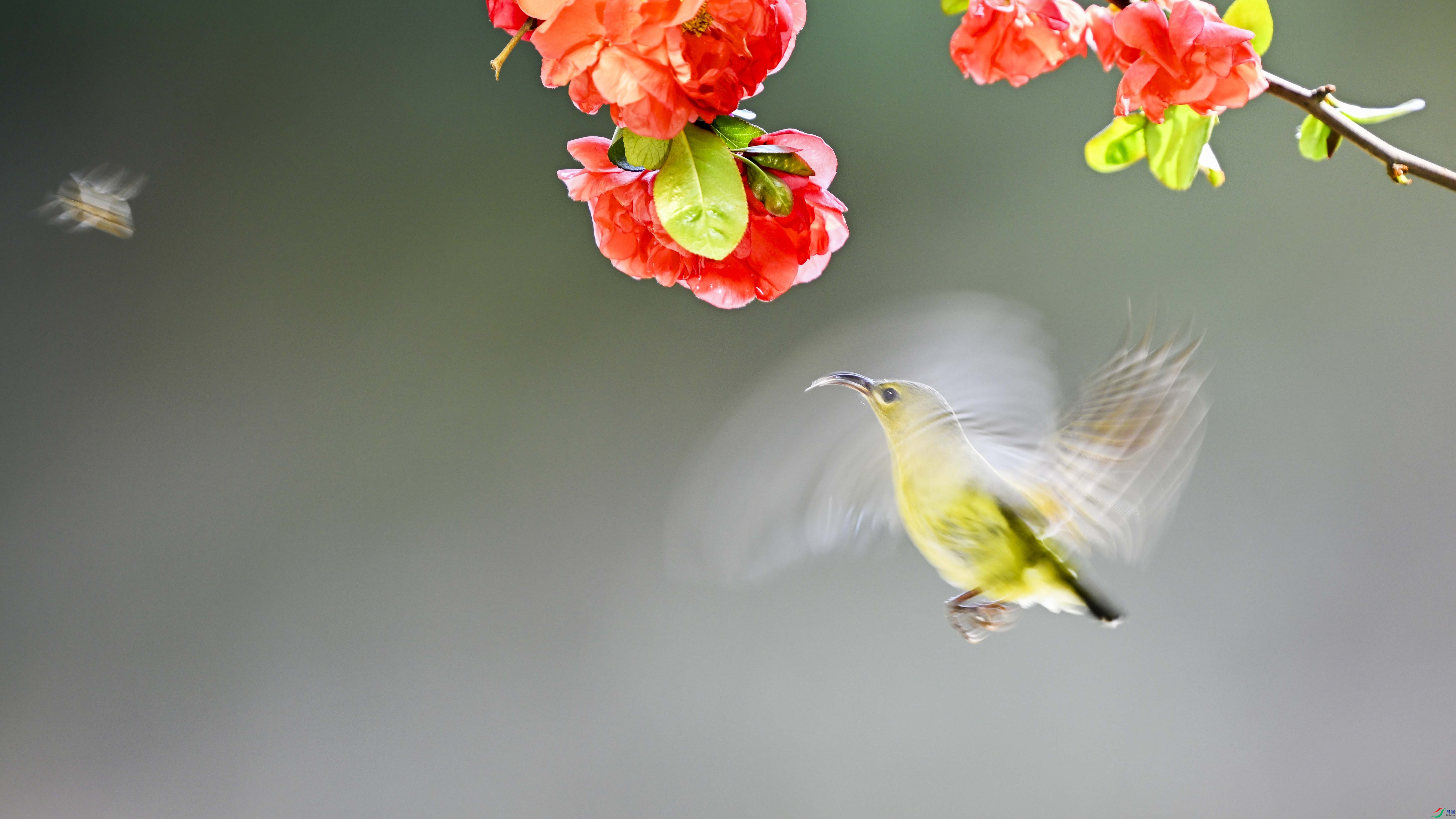 DSC_0151 ����.jpg