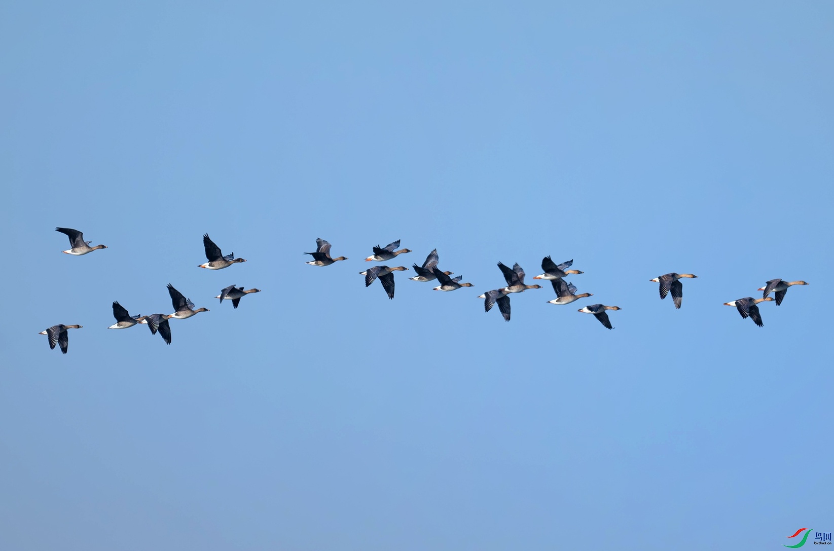 _DSC6674f.jpg
