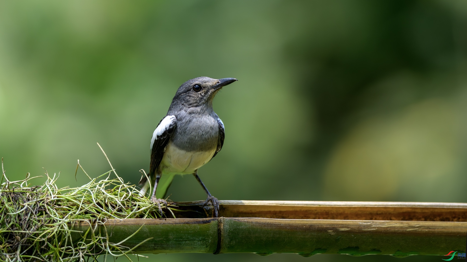 1_XXL2114-����ǿ-NR ����.jpeg