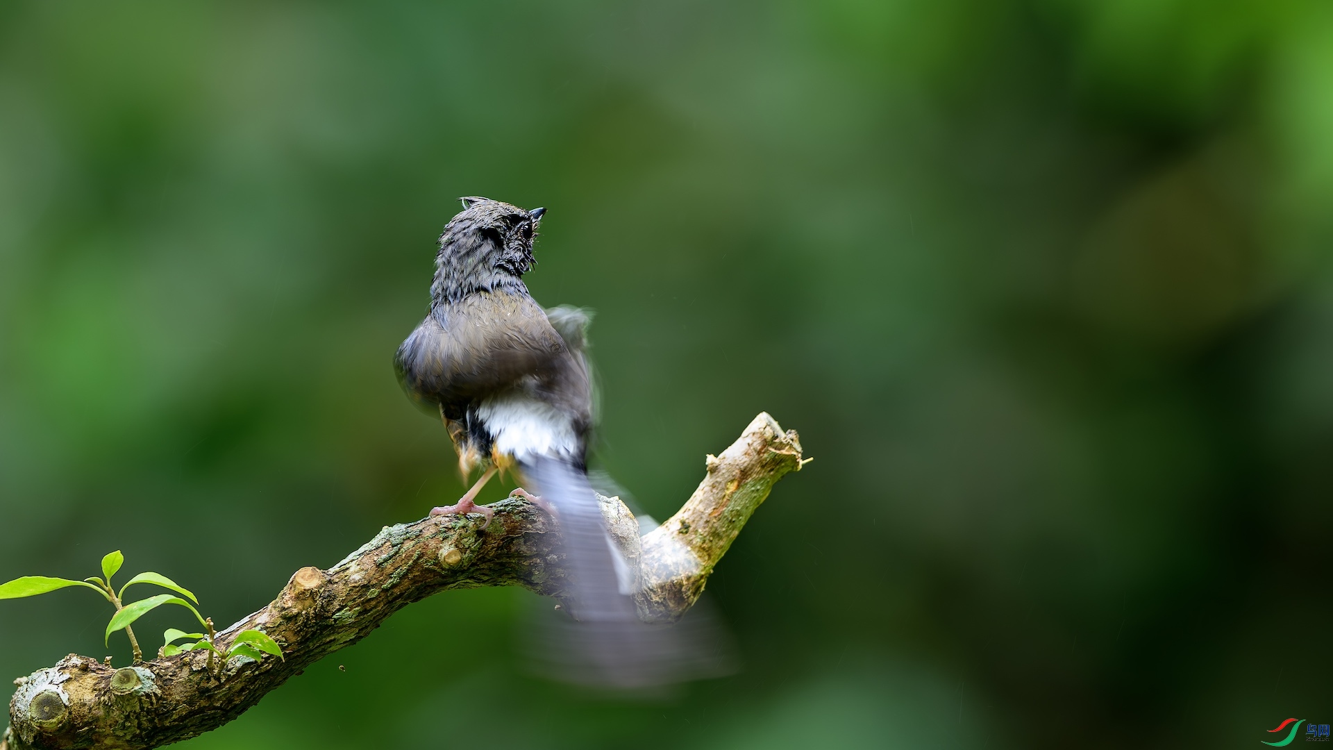 1_XXL6917-����ǿ-NR ����.jpeg