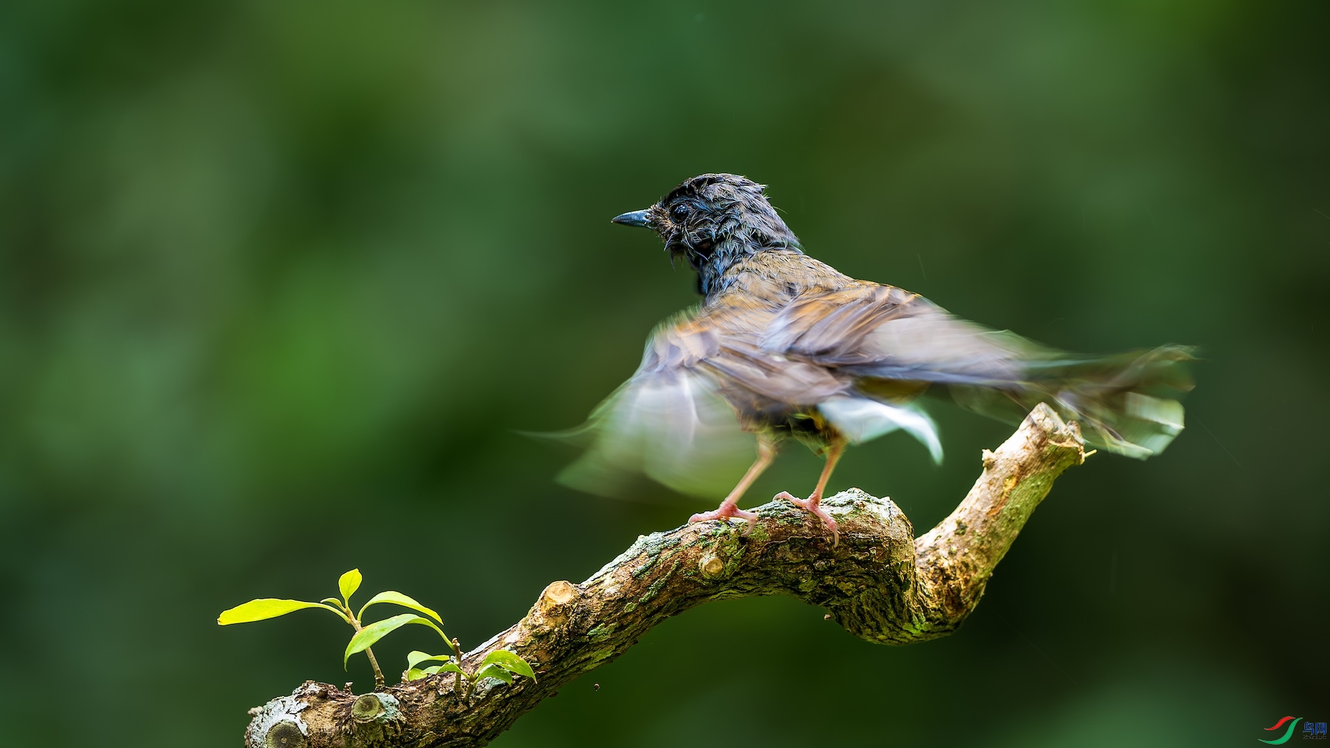 1_XXL6928-����ǿ-NR ����.jpeg