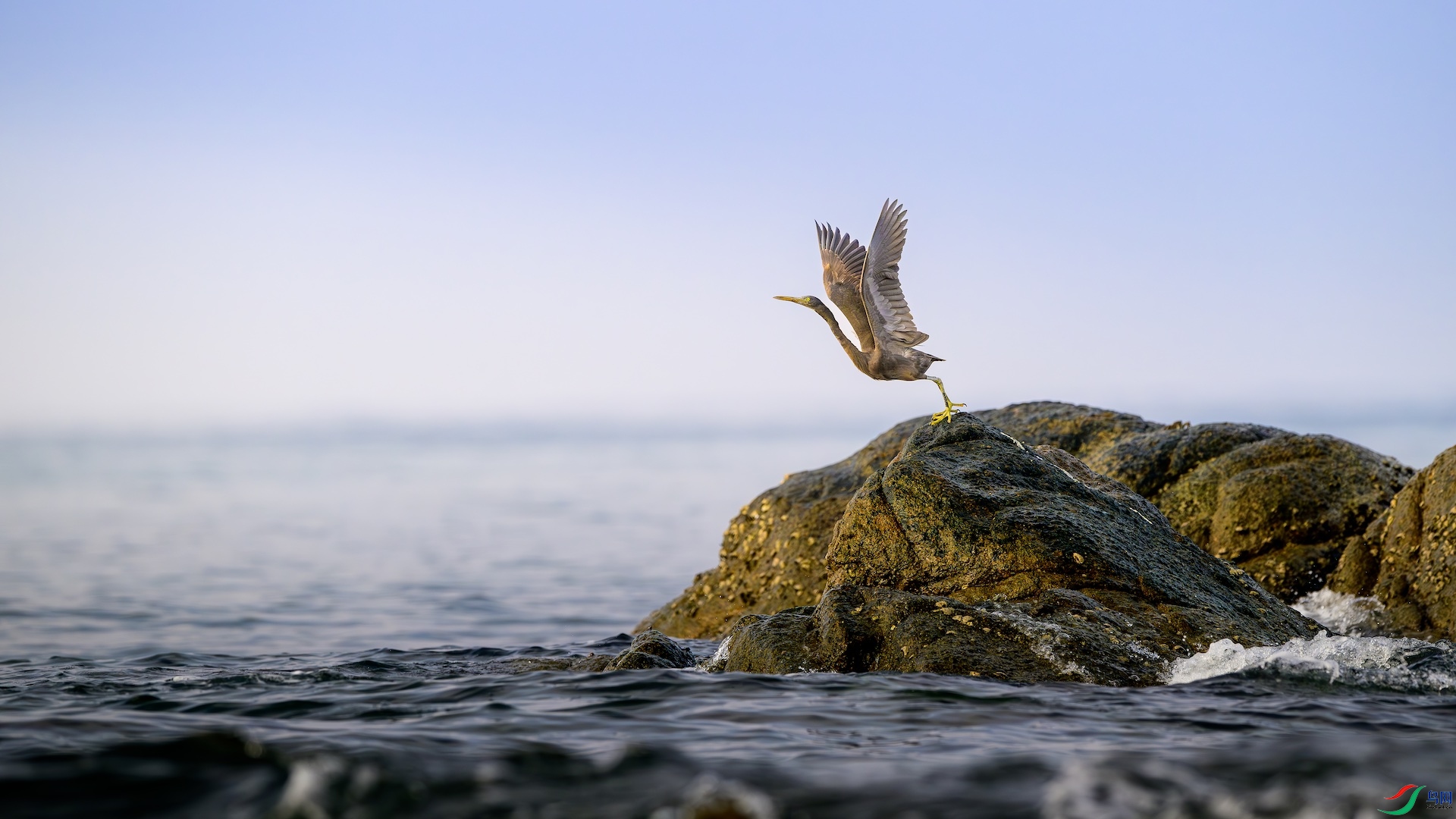 1_XXL9799-����ǿ-NR ����.jpeg