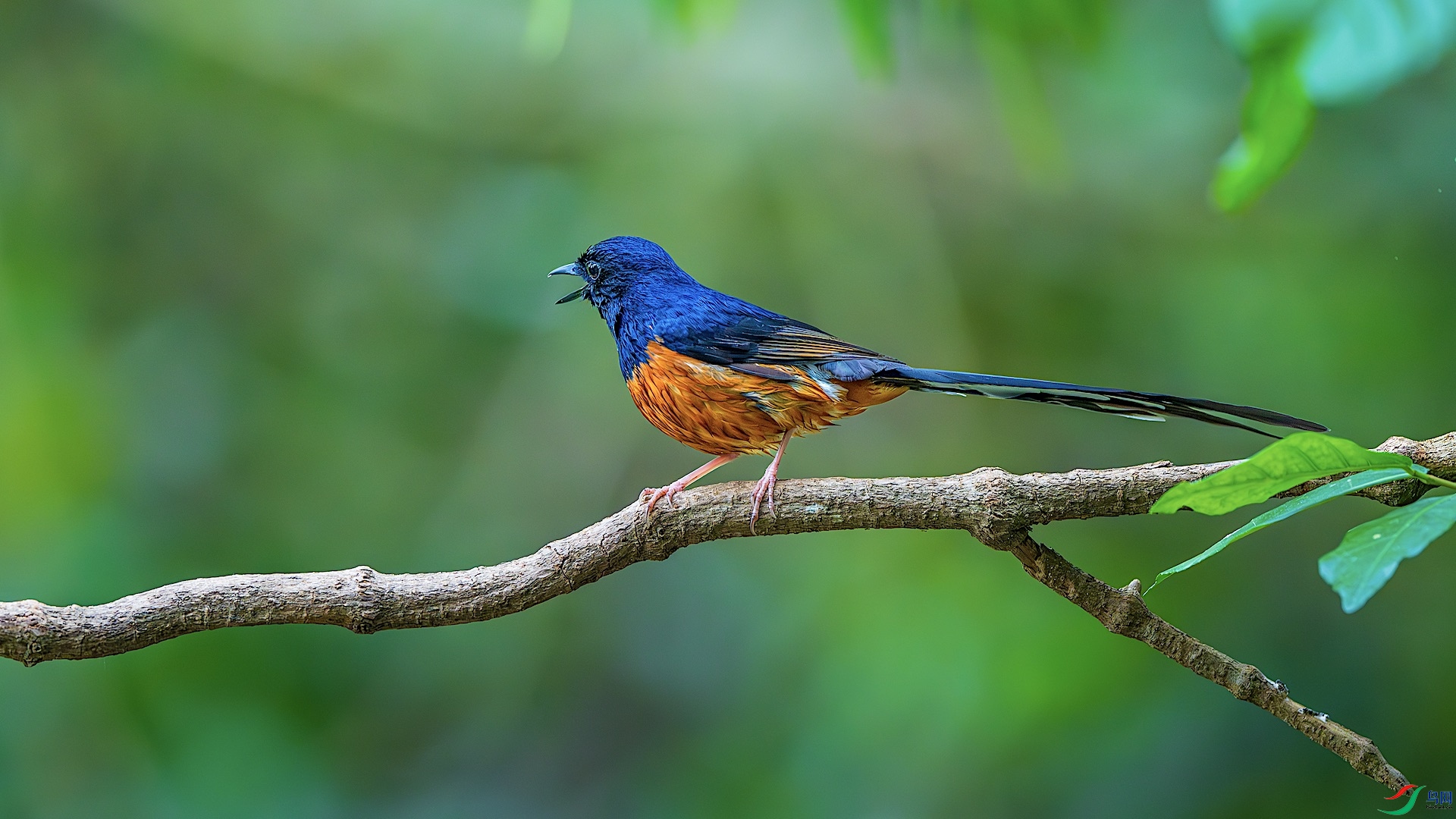 1_XXL9999-����ǿ-NR ����.jpeg