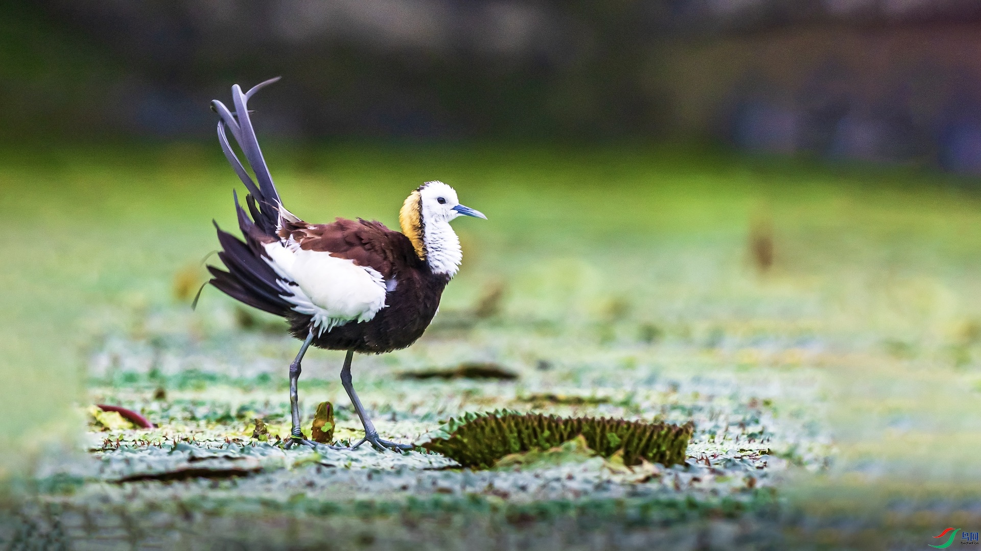 1-1 ����.jpeg