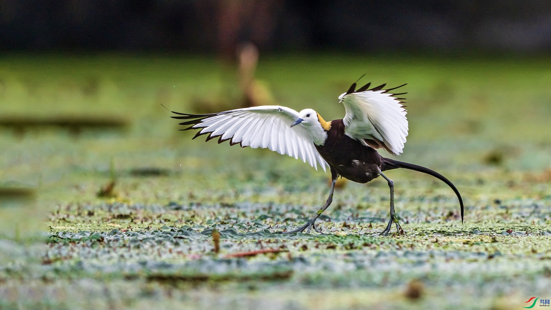 1-5 ����.jpeg