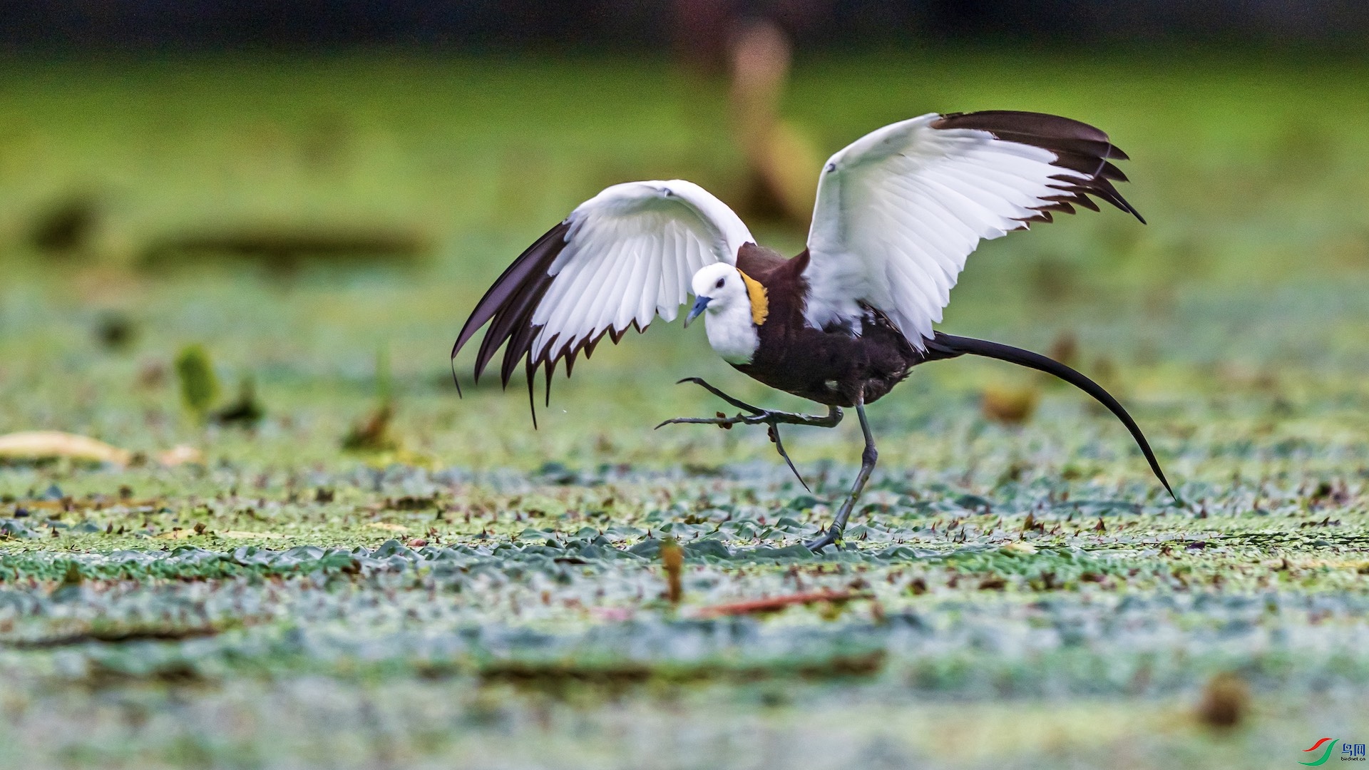 1-7 ����.jpeg